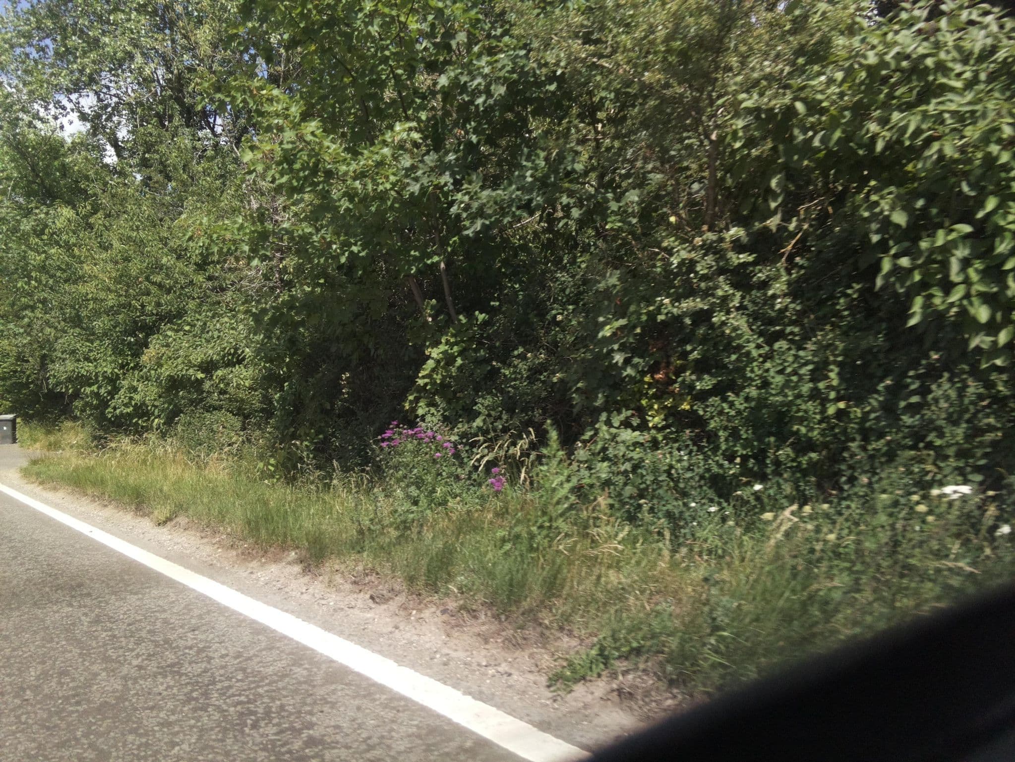 Street view near Whitbread Group, Kings Worthy — © southglos (CC BY-SA · Mapillary)