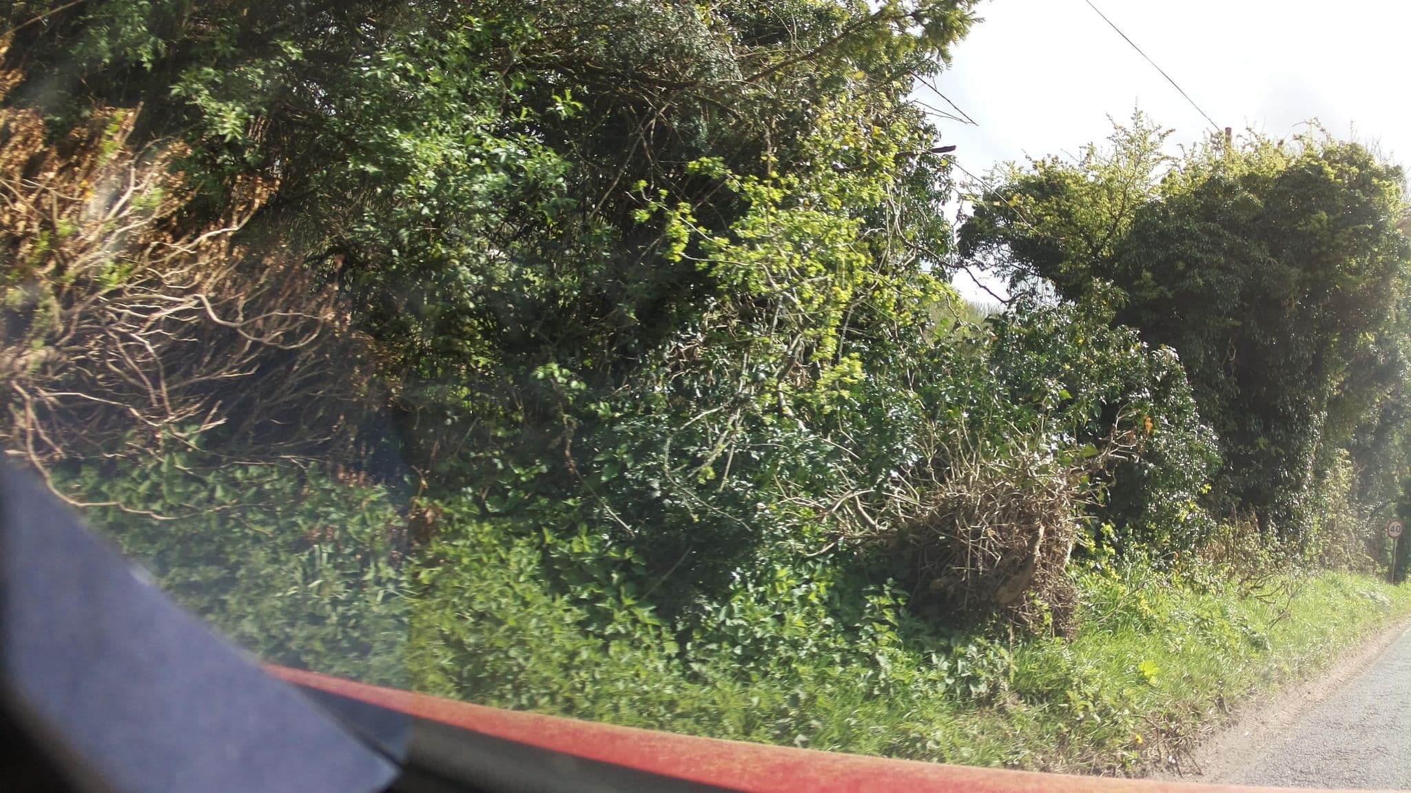 Street view near The Old Barns, East Dean — © southglos (CC BY-SA · Mapillary)