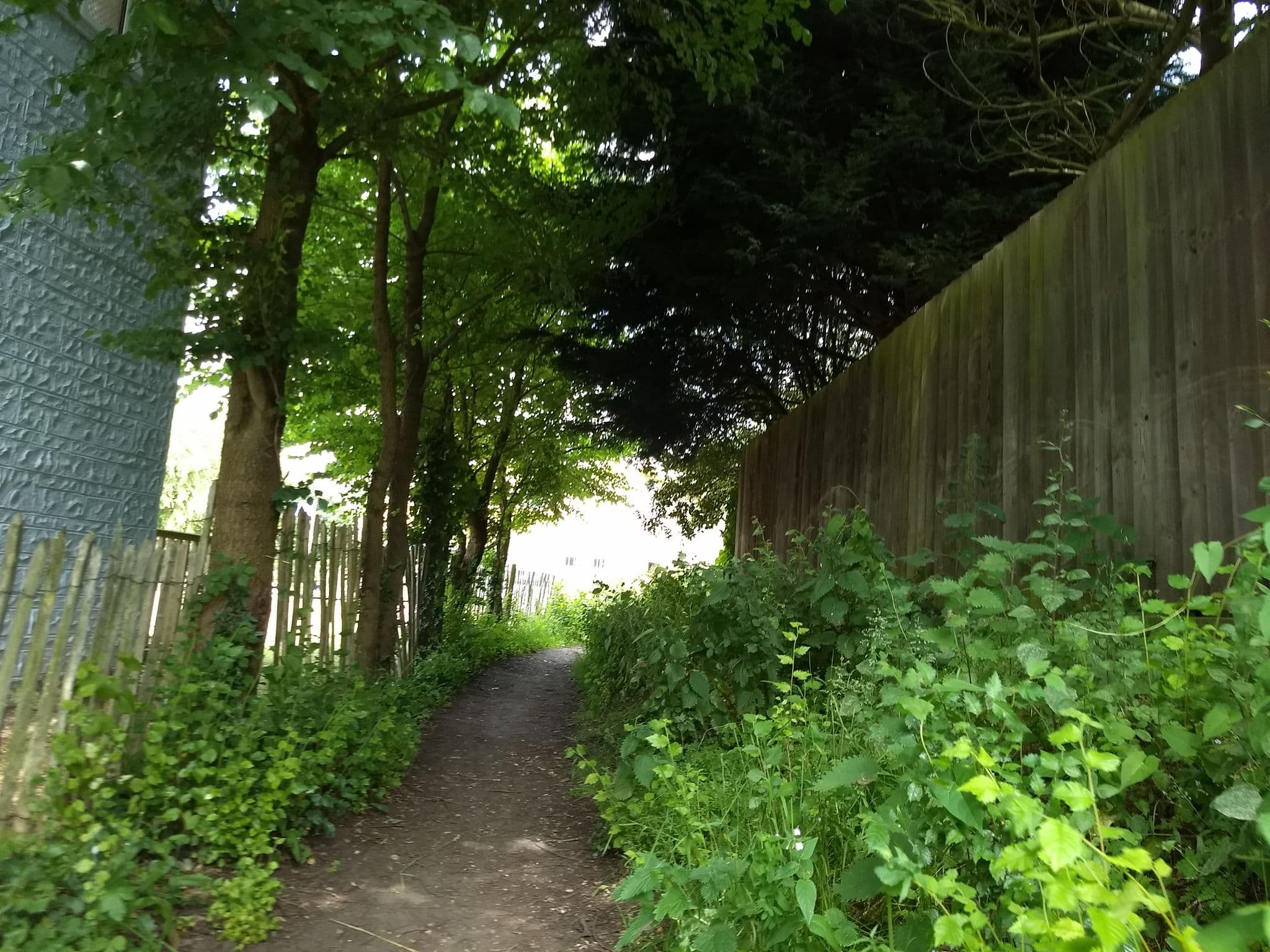 Street view near Catton Estates, Seaview — © mappernerd (CC BY-SA · Mapillary)