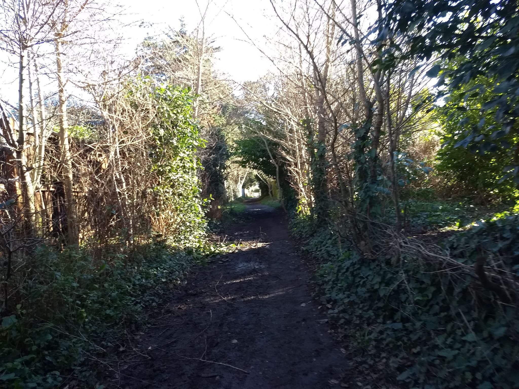 Street view near Mon Domicile Temporaire, Bembridge — © mappernerd (CC BY-SA · Mapillary)