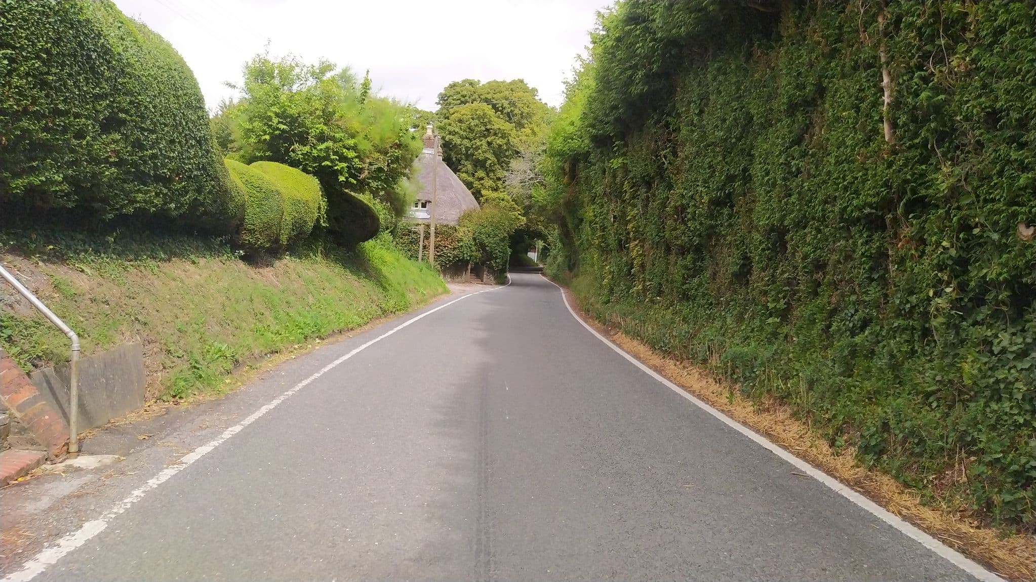 Street view near The Garden Chalet, Petersfield — © noid (CC BY-SA · Mapillary)