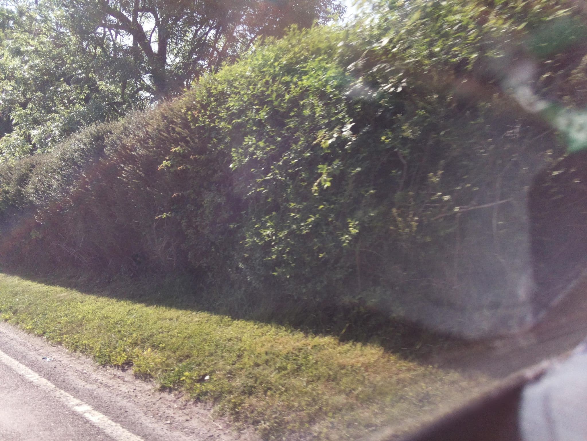 Street view near AJP Log Construction, Andover — © southglos (CC BY-SA · Mapillary)