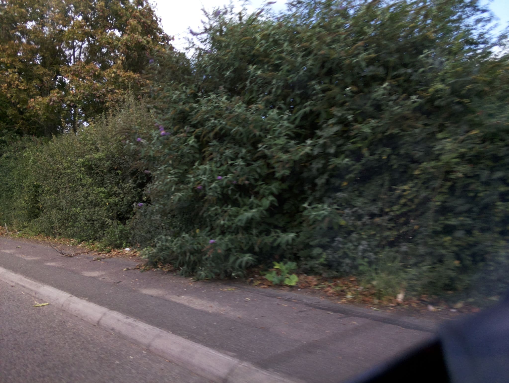 Street view near Six Continents, Basingstoke — © southglos (CC BY-SA · Mapillary)