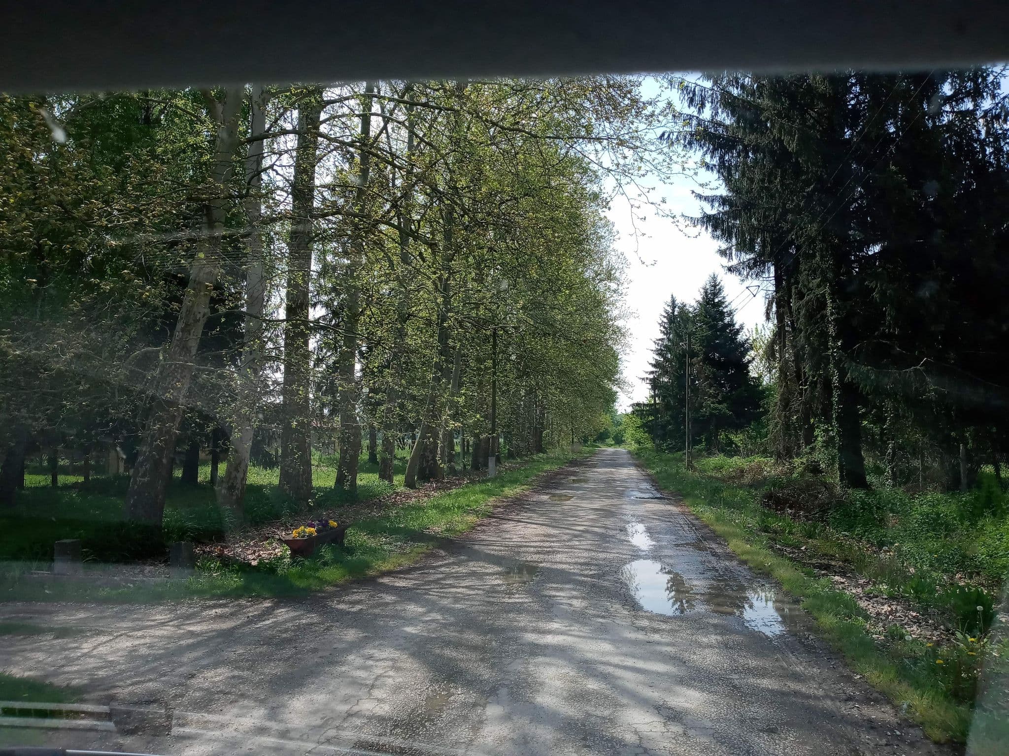 Street view near Dráva kulcsosház, Donji Miholjac — © magyarsi (CC BY-SA · Mapillary)