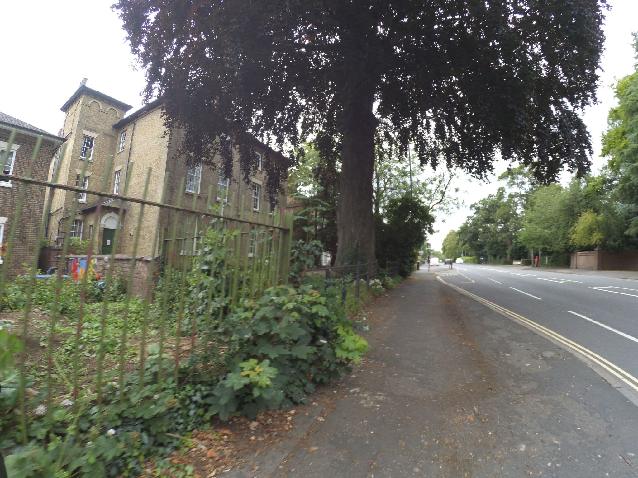 Street view near New Directions Limited, Rugby — © gness (CC BY-SA · Mapillary)