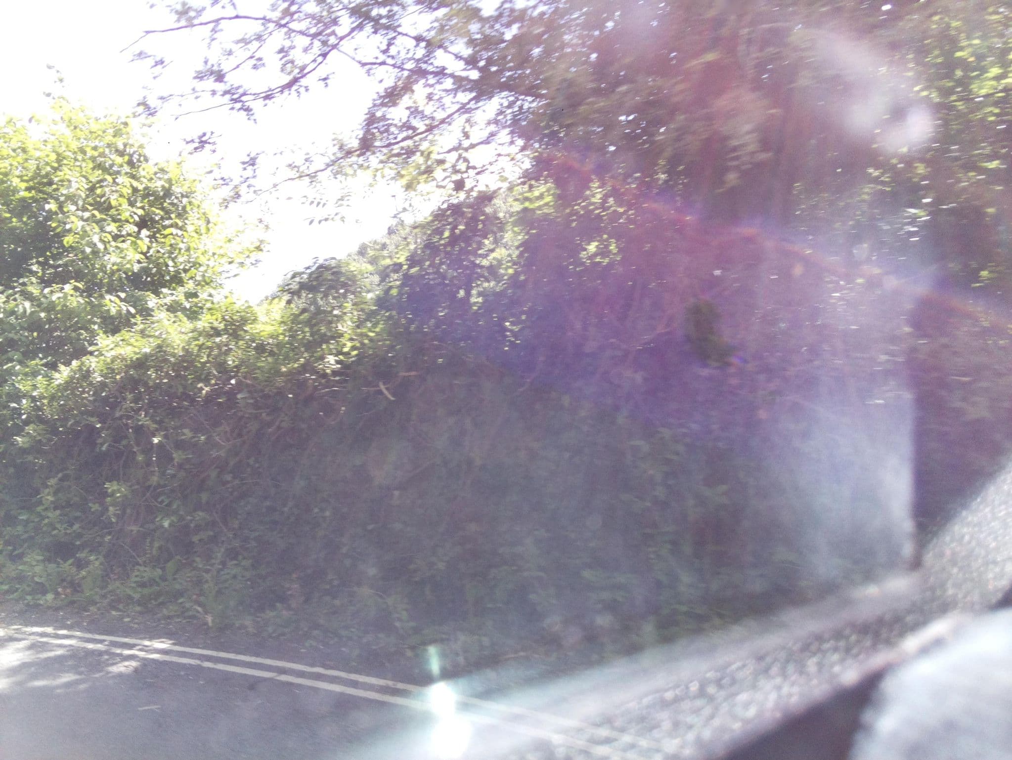 Street view near Milne House Cottages, Tideswell — © southglos (CC BY-SA · Mapillary)