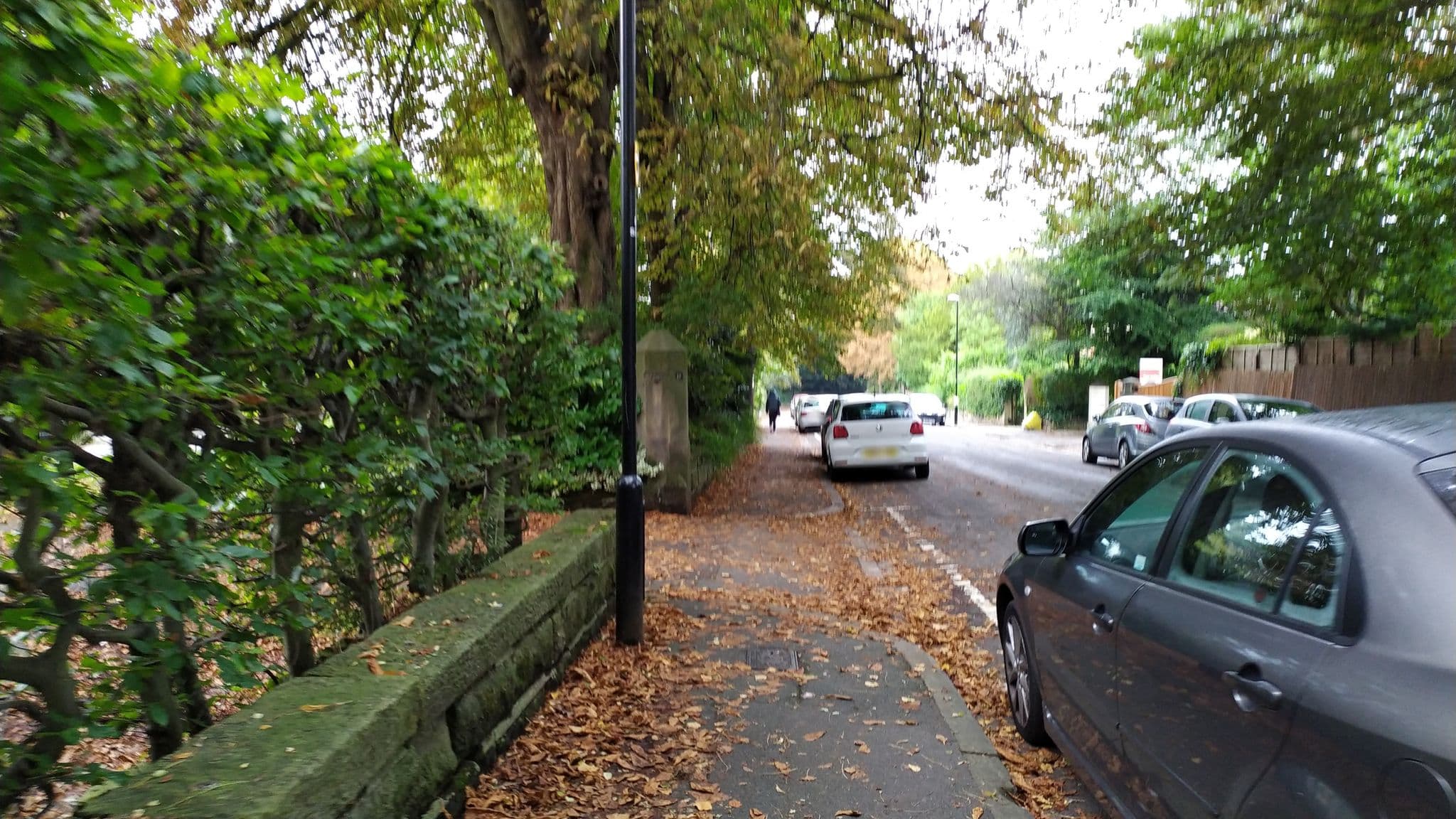Street view near Hayleys Hotel & Restaurant, Chapel Allerton — © mapz4lolz (CC BY-SA · Mapillary)