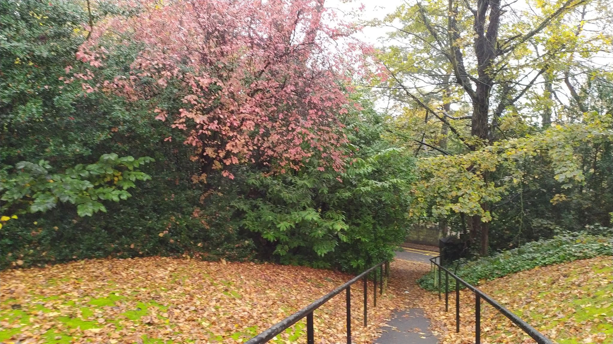 Street view near Haley's Hotel and Restaurant, Chapel Allerton — © mapz4lolz (CC BY-SA · Mapillary)