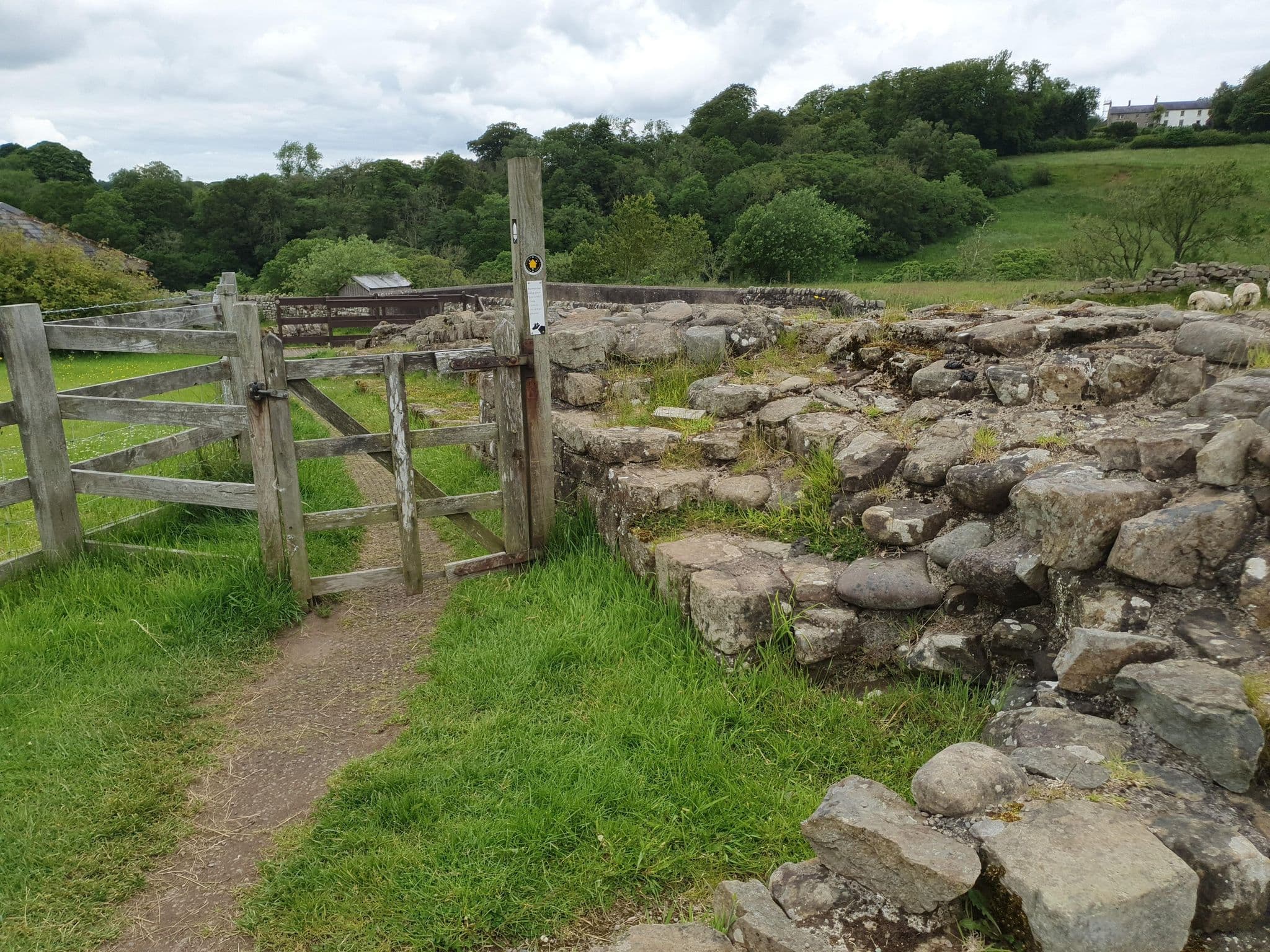 Street view near Willowford Farm Bed & Breakfast, Haltwhistle — © trekclimbing (CC BY-SA · Mapillary)
