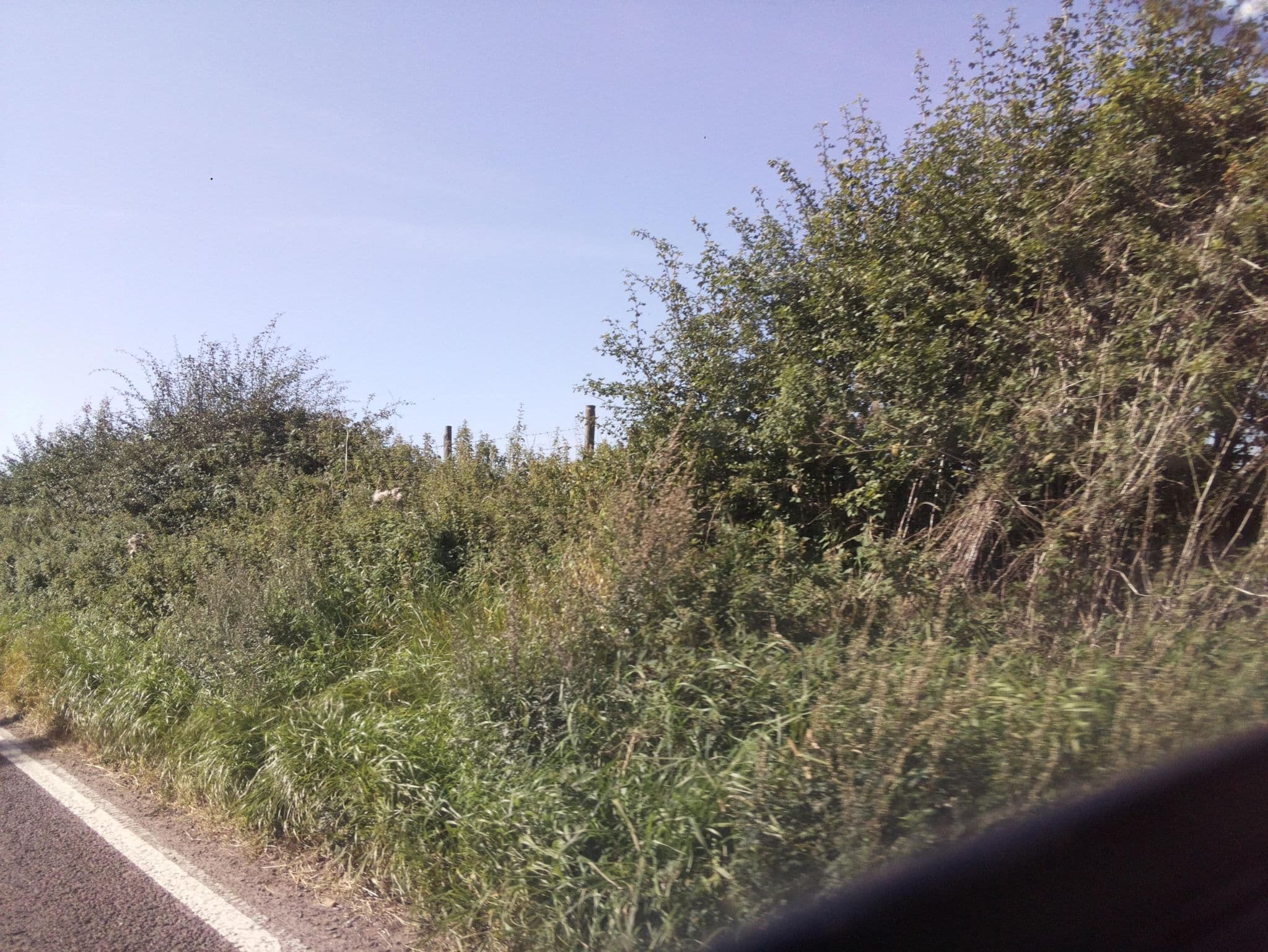 Street view near Pinchinthorpe Hall, Great Ayton — © southglos (CC BY-SA · Mapillary)