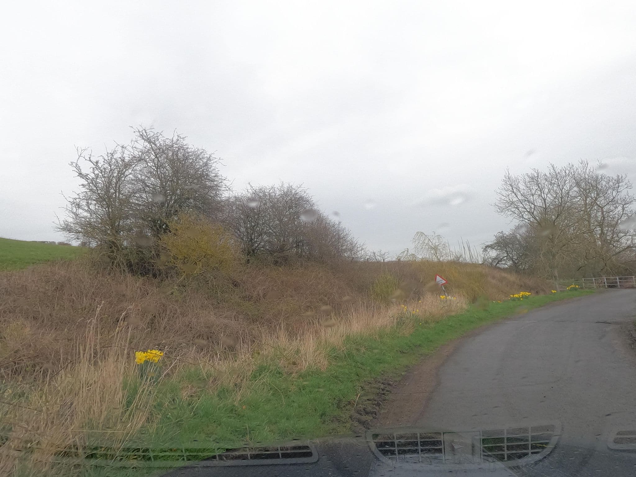 Street view near Fenham Farm Bed & Breakfast, Belford — © floatingboater (CC BY-SA · Mapillary)
