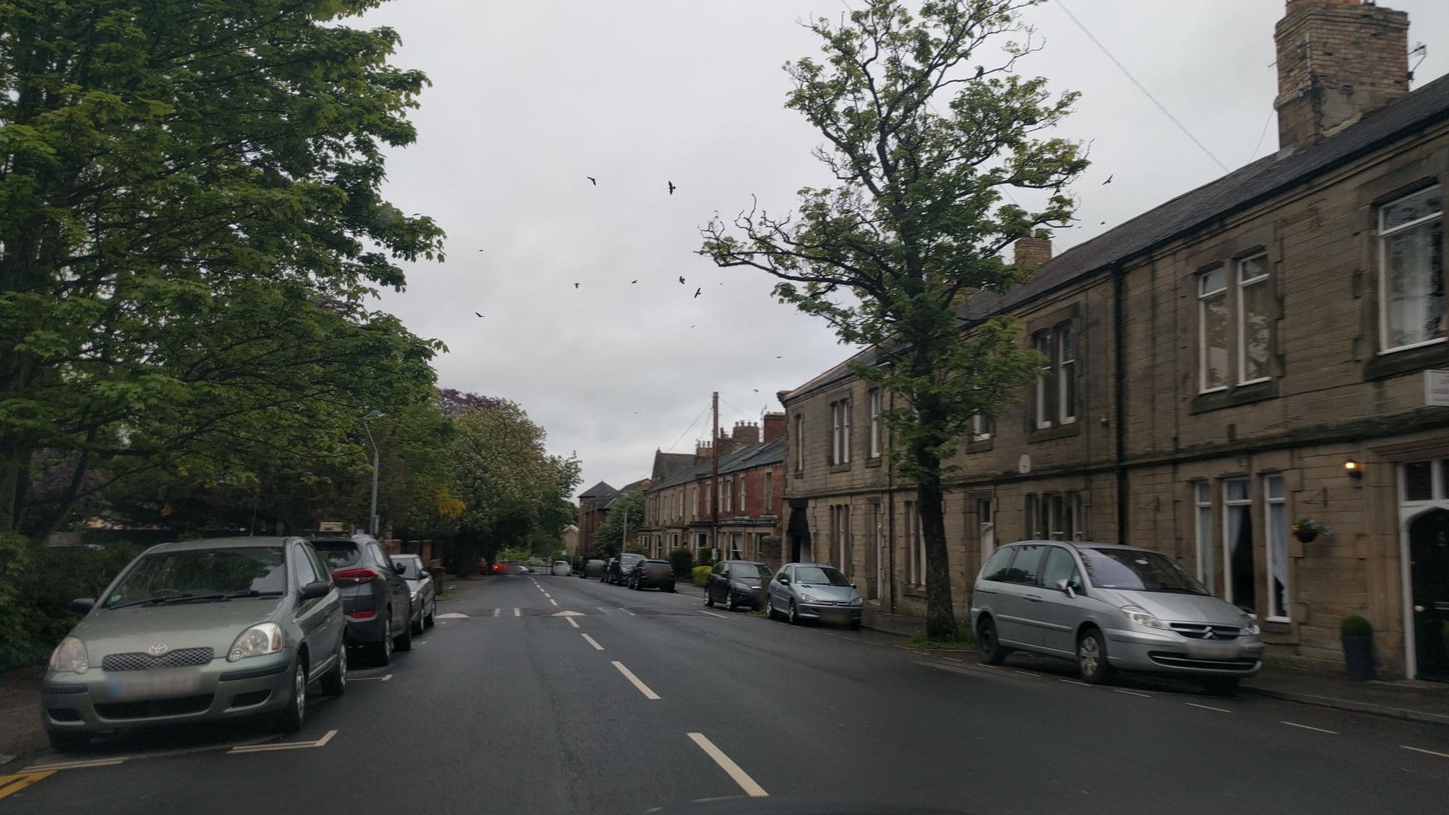 Street view near Chestnut House, Morpeth — © floatingboater (CC BY-SA · Mapillary)