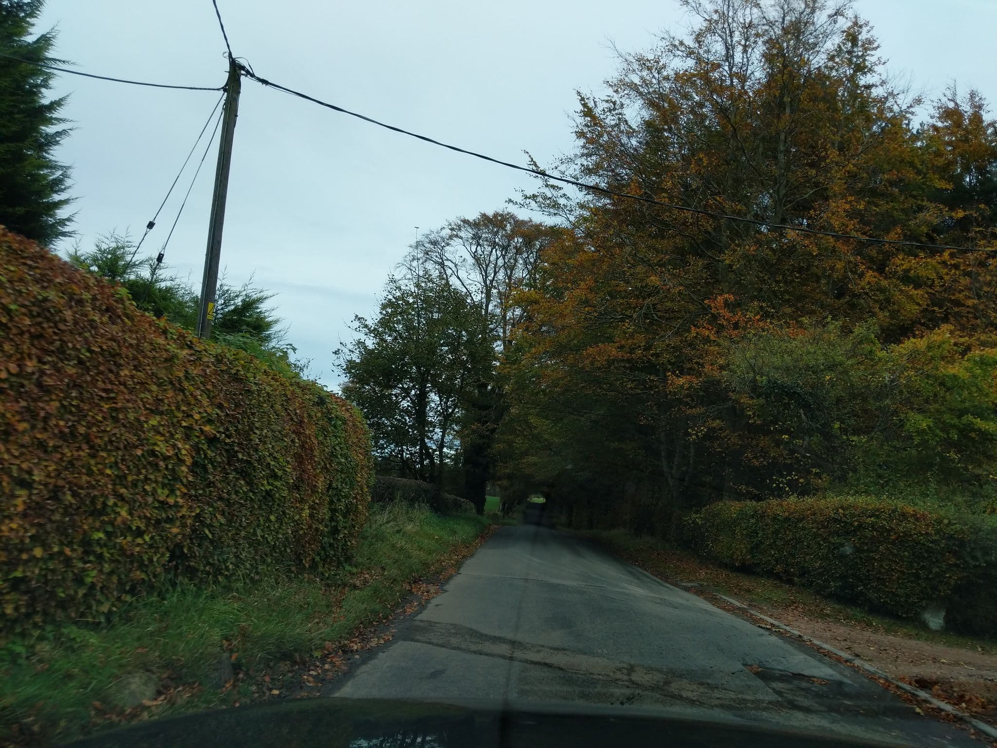 Street view near Country Leisure Holidays Limited, Saint Andrews — © ccbb7766 (CC BY-SA · Mapillary)