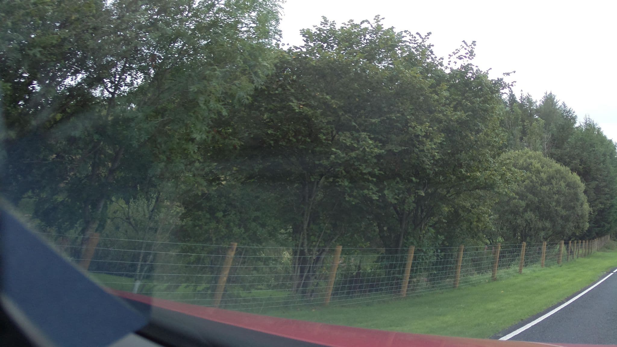 Street view near Border Forest Holiday Park, Bellingham — © southglos (CC BY-SA · Mapillary)