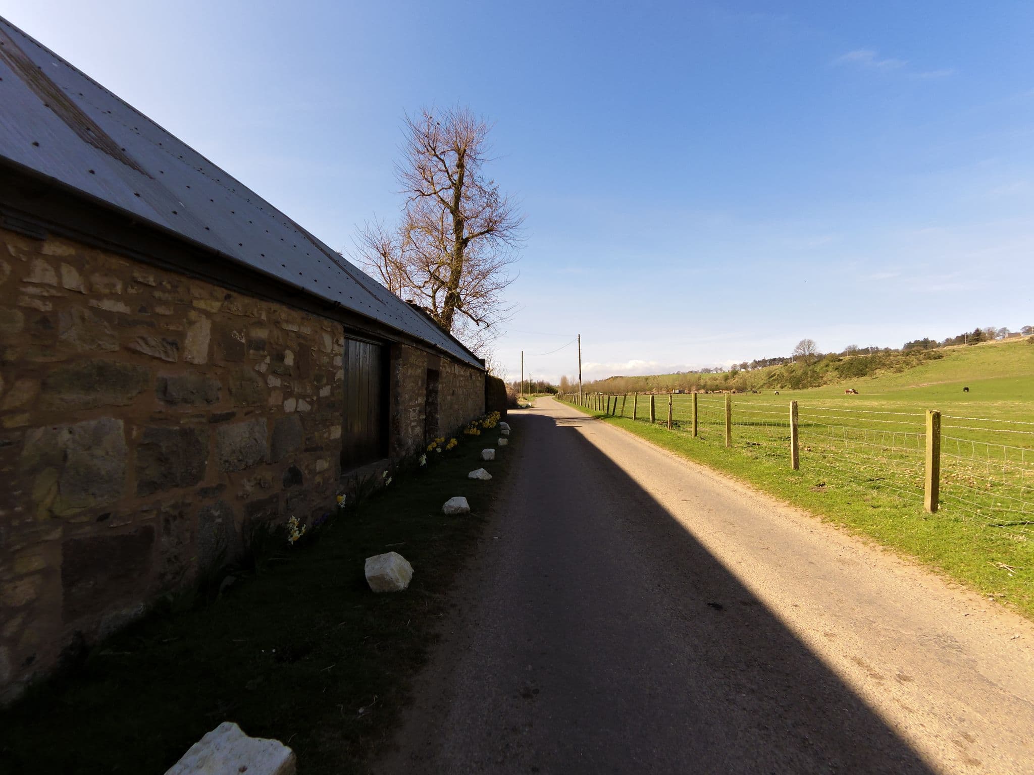 Street view near Eskview Farm B&B, Saint Cyrus — © smsm1 (CC BY-SA · Mapillary)