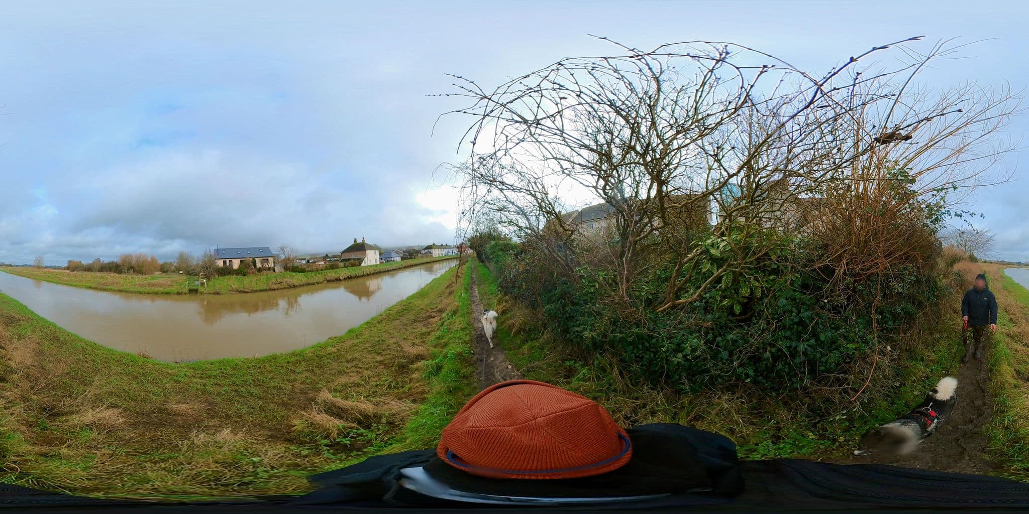 Street view near Castle Keep Management Limited, Steyning — © MattWithHuskies (CC BY-SA · Mapillary)