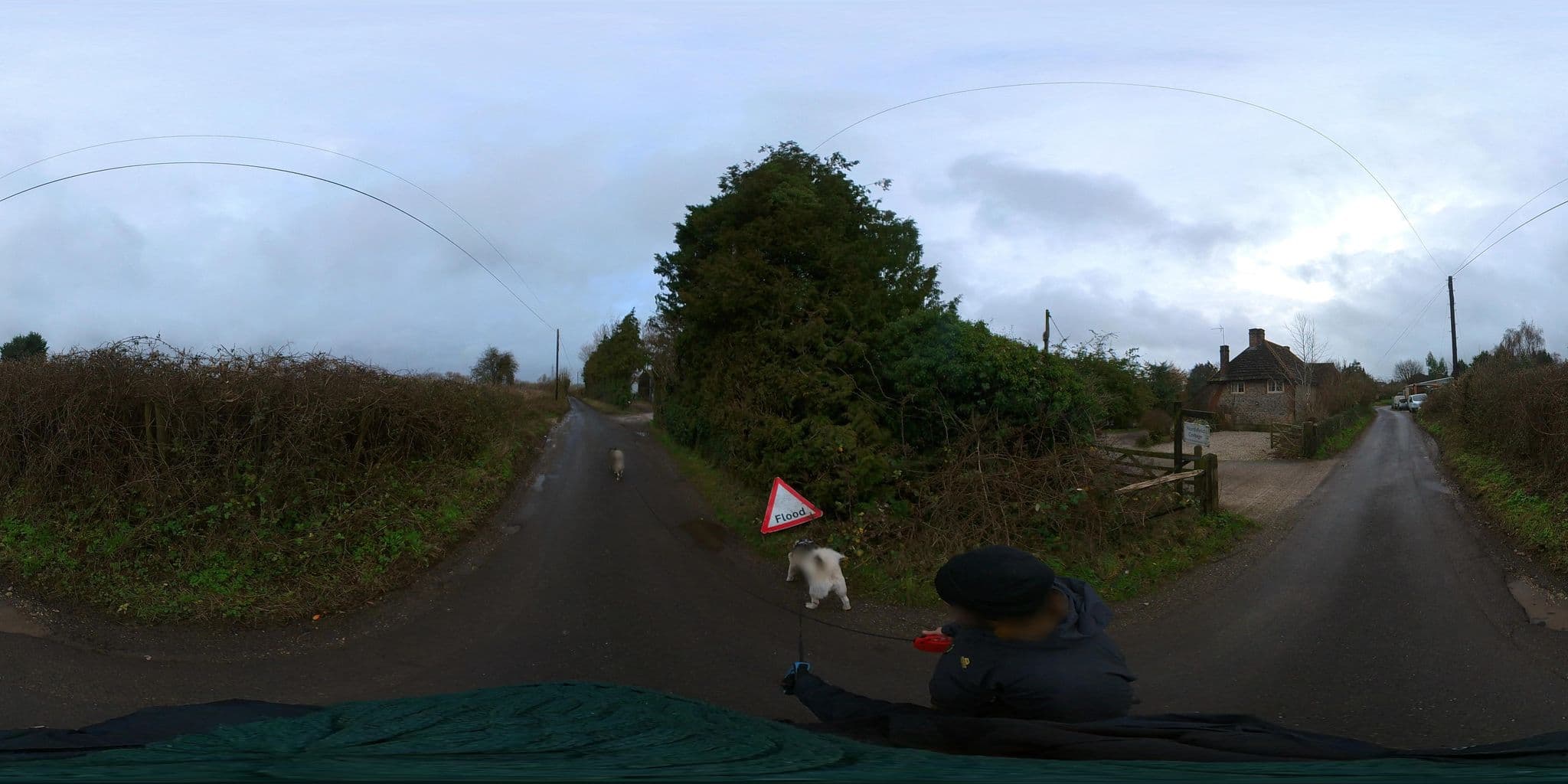 Street view near Steyning Holiday Cottages, Steyning — © MattWithHuskies (CC BY-SA · Mapillary)