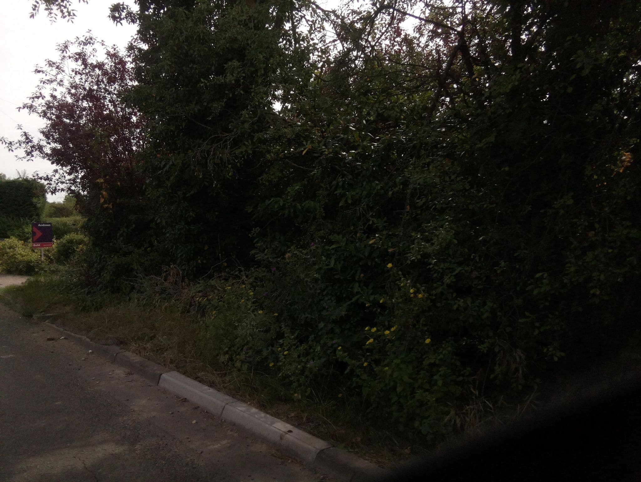 Street view near The Five Star Cat Hotel, Horley — © southglos (CC BY-SA · Mapillary)