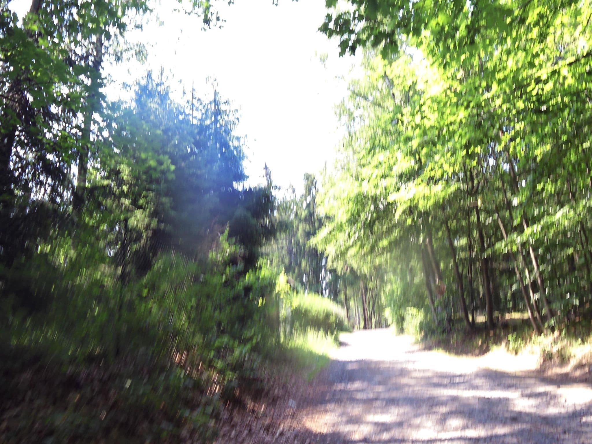 Street view near Pod Jedlovou, Dolní Podluží — © fell3 (CC BY-SA · Mapillary)