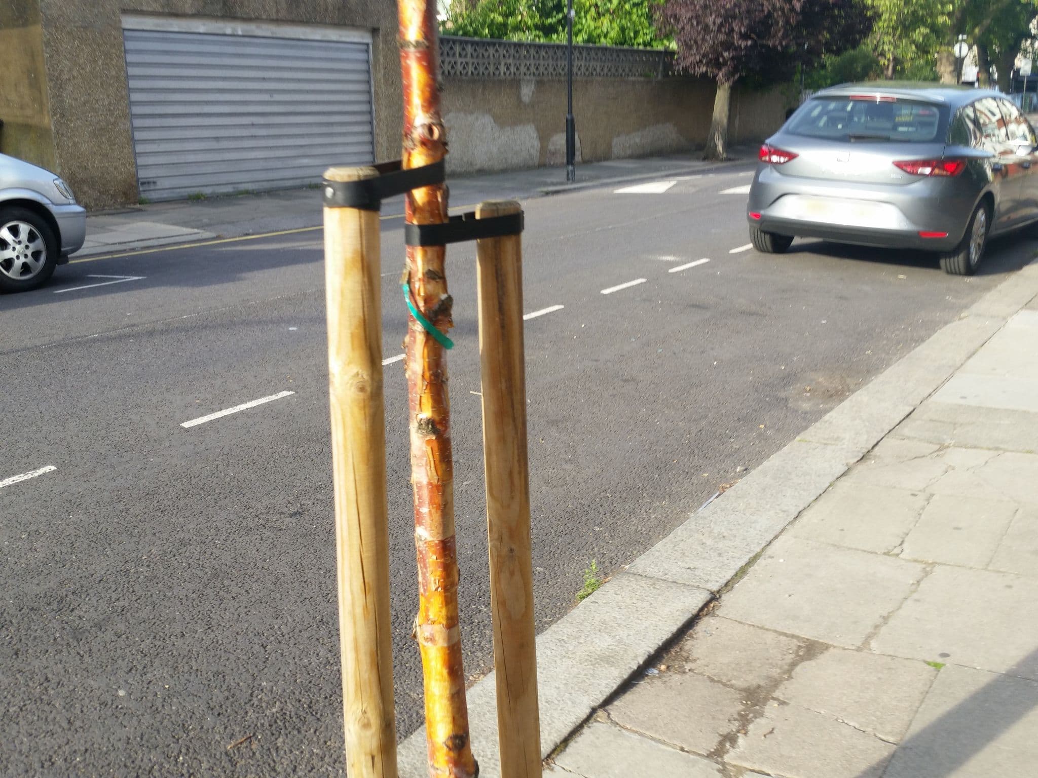 Street view near Briden Lloyd, Harringay — © matth81 (CC BY-SA · Mapillary)