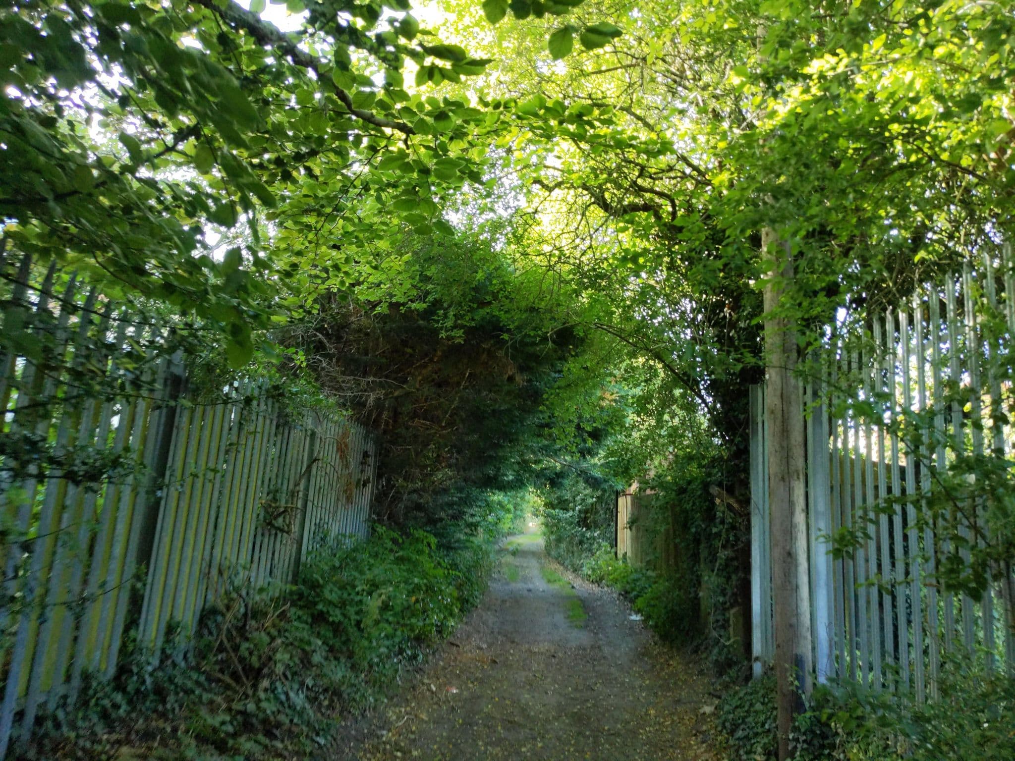 Street view near Ashwood Manor Healthcare Limited, West Wickham — © BackAche (CC BY-SA · Mapillary)