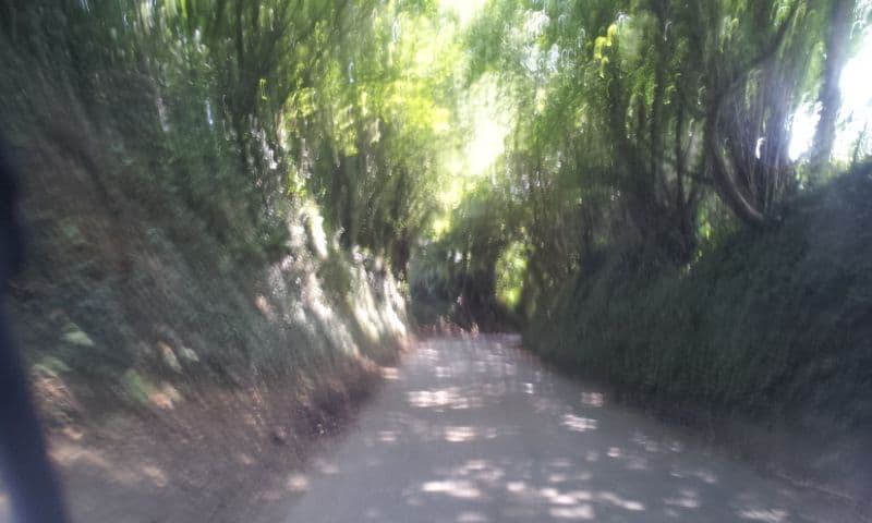 Street view near Reason Hill, Yalding — © paulbiv (CC BY-SA · Mapillary)
