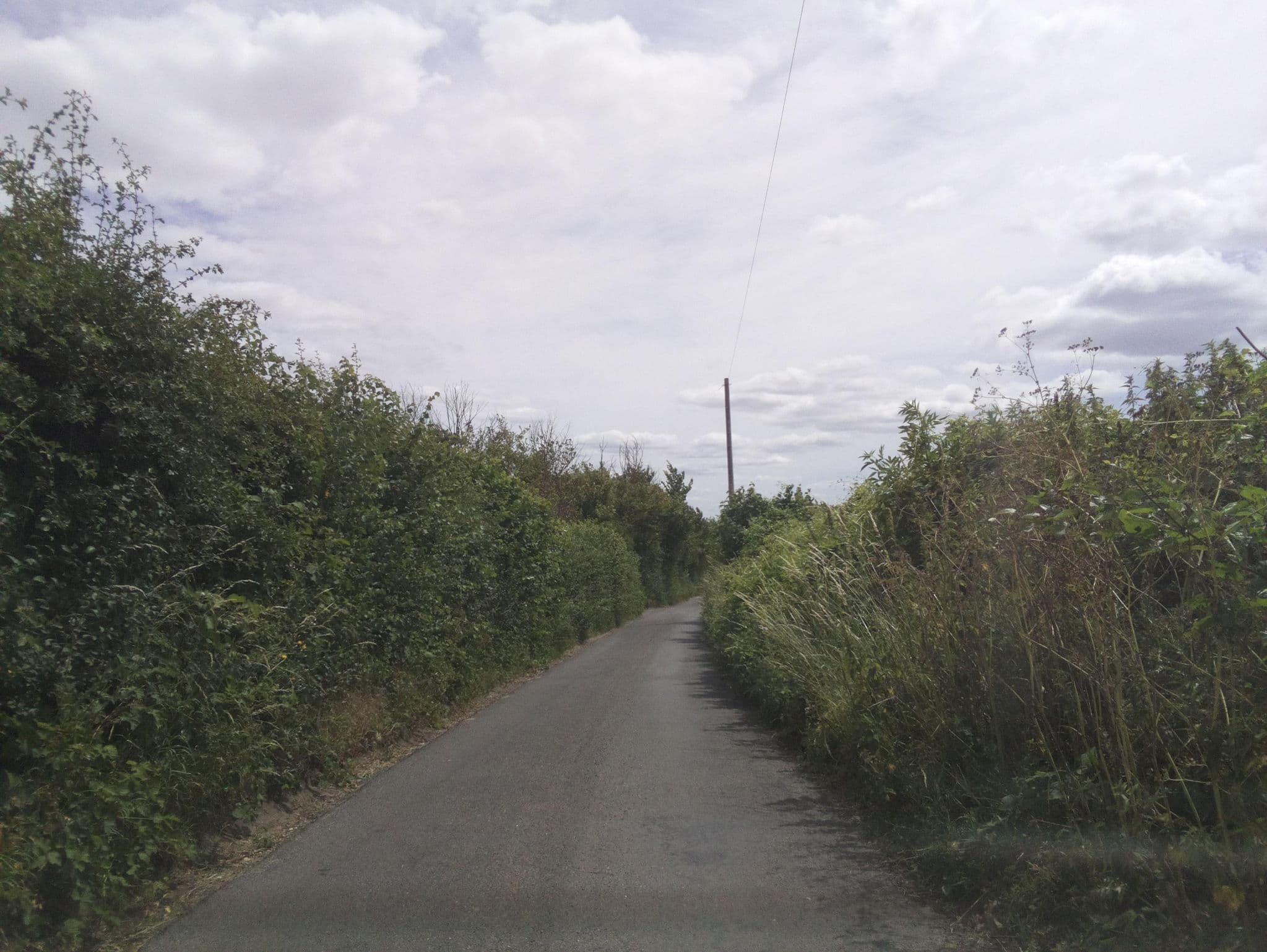 Street view near Appledene B & B, West Malling — © southglos (CC BY-SA · Mapillary)