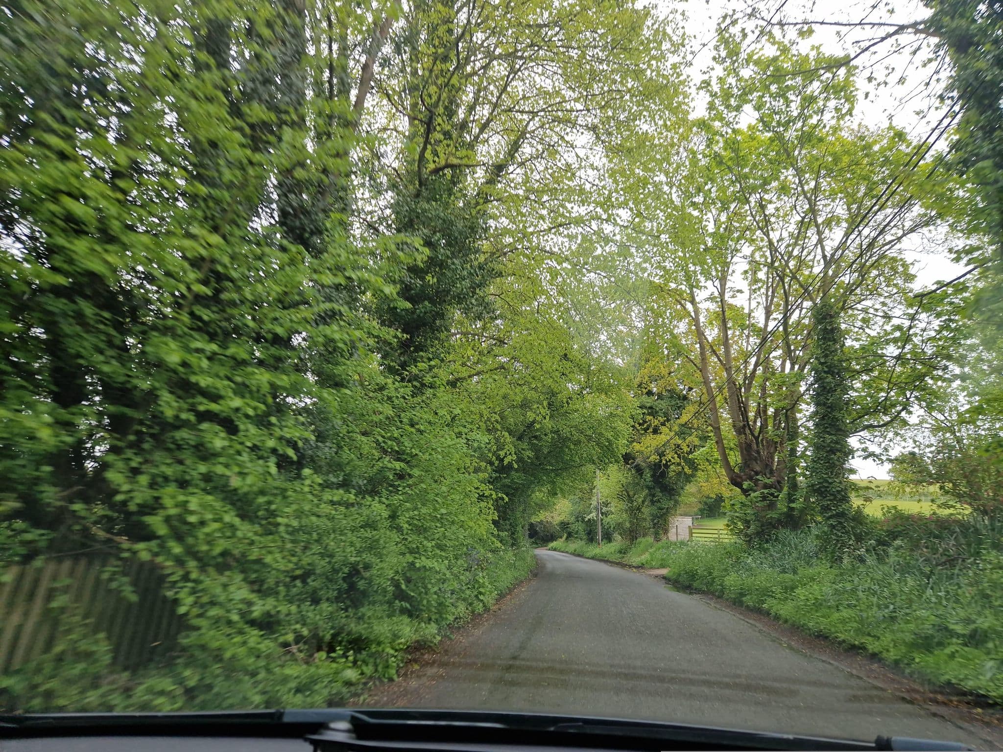 Street view near Polstead Lodge, Boxted — © edloach (CC BY-SA · Mapillary)