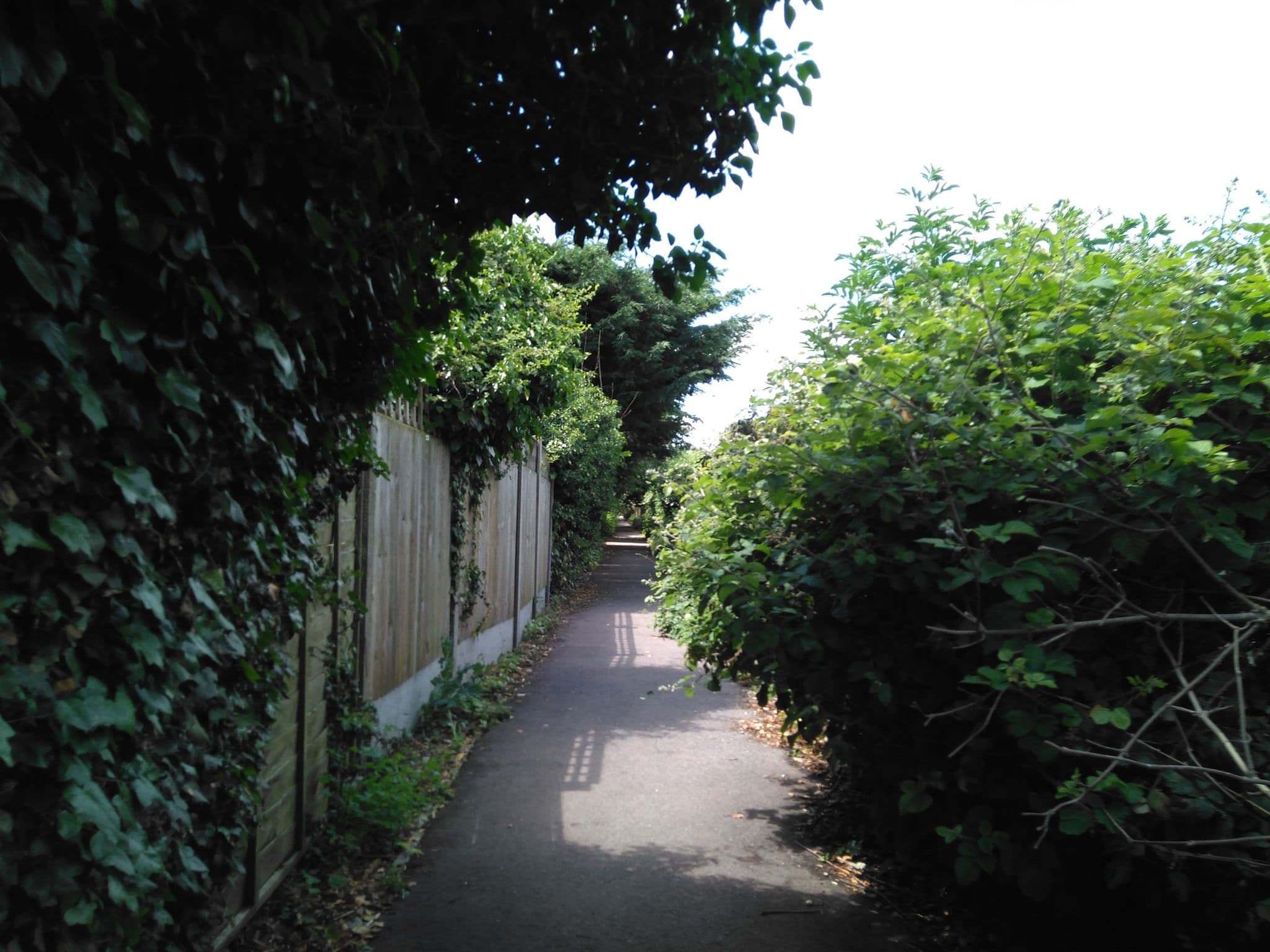 Street view near The Stables B&B Whitstable, Whitstable — © gregorywilliams (CC BY-SA · Mapillary)