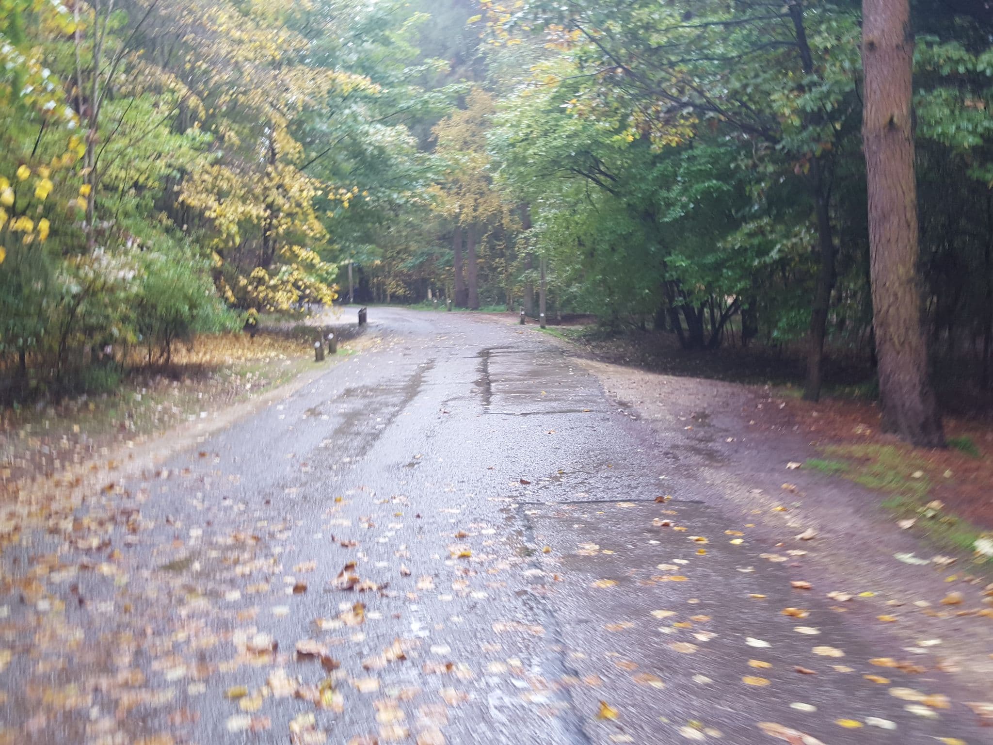 Street view near Pine Villa 306, Lakenheath — © edloach (CC BY-SA · Mapillary)