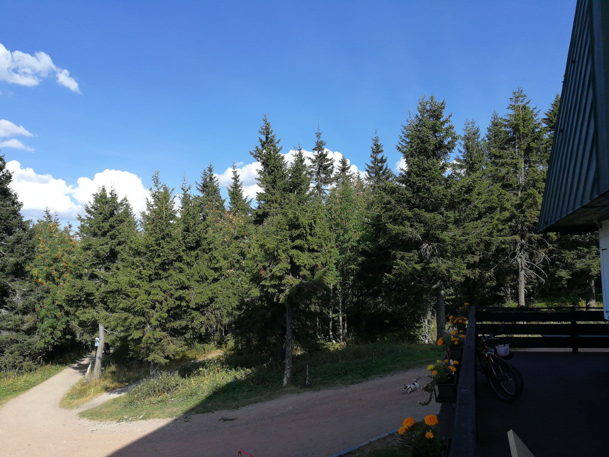Street view near Hotel ČERNÁ BOUDA, Svoboda nad Úpou — © lihalla (CC BY-SA · Mapillary)