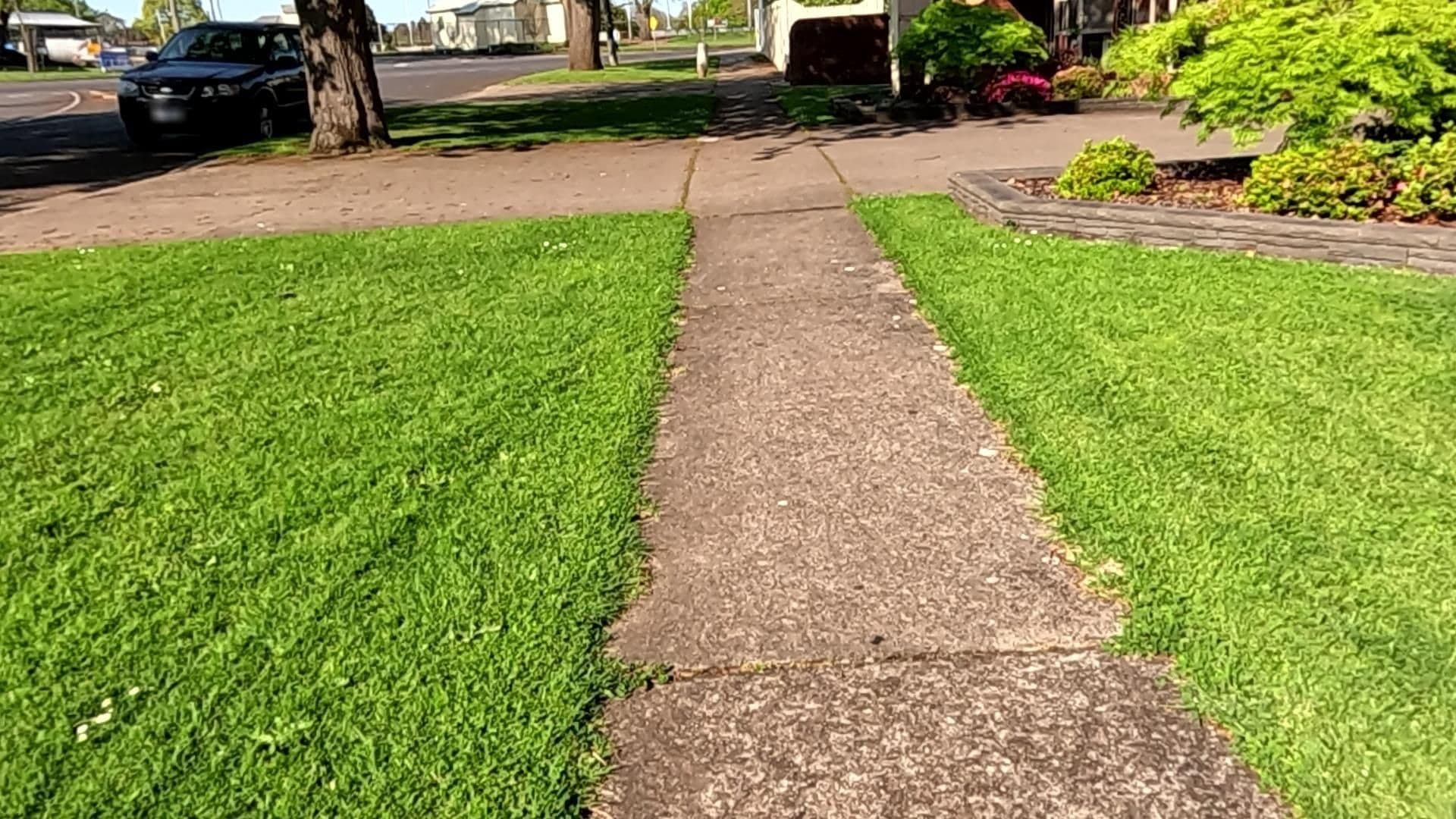 Street view near Goldsmith Motel, Hamilton — © SGSC_RACAS_FOOTPATH (CC BY-SA · Mapillary)