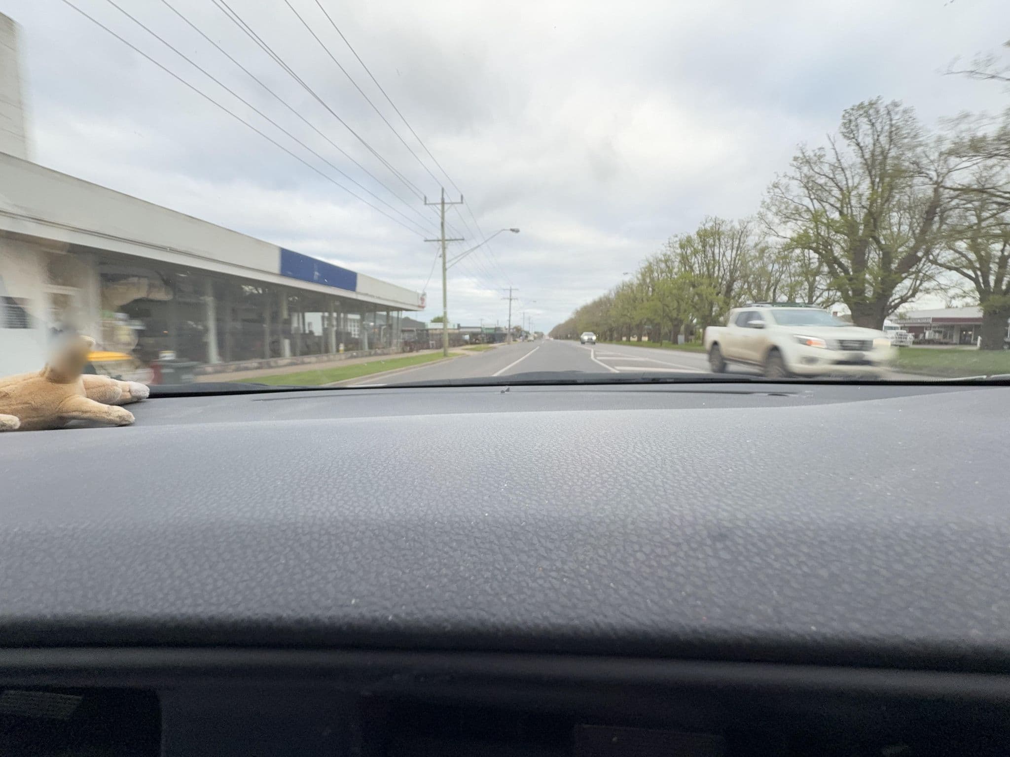 Street view near Manifold Motor Inn, Cobden — © uhkhzrte (CC BY-SA · Mapillary)