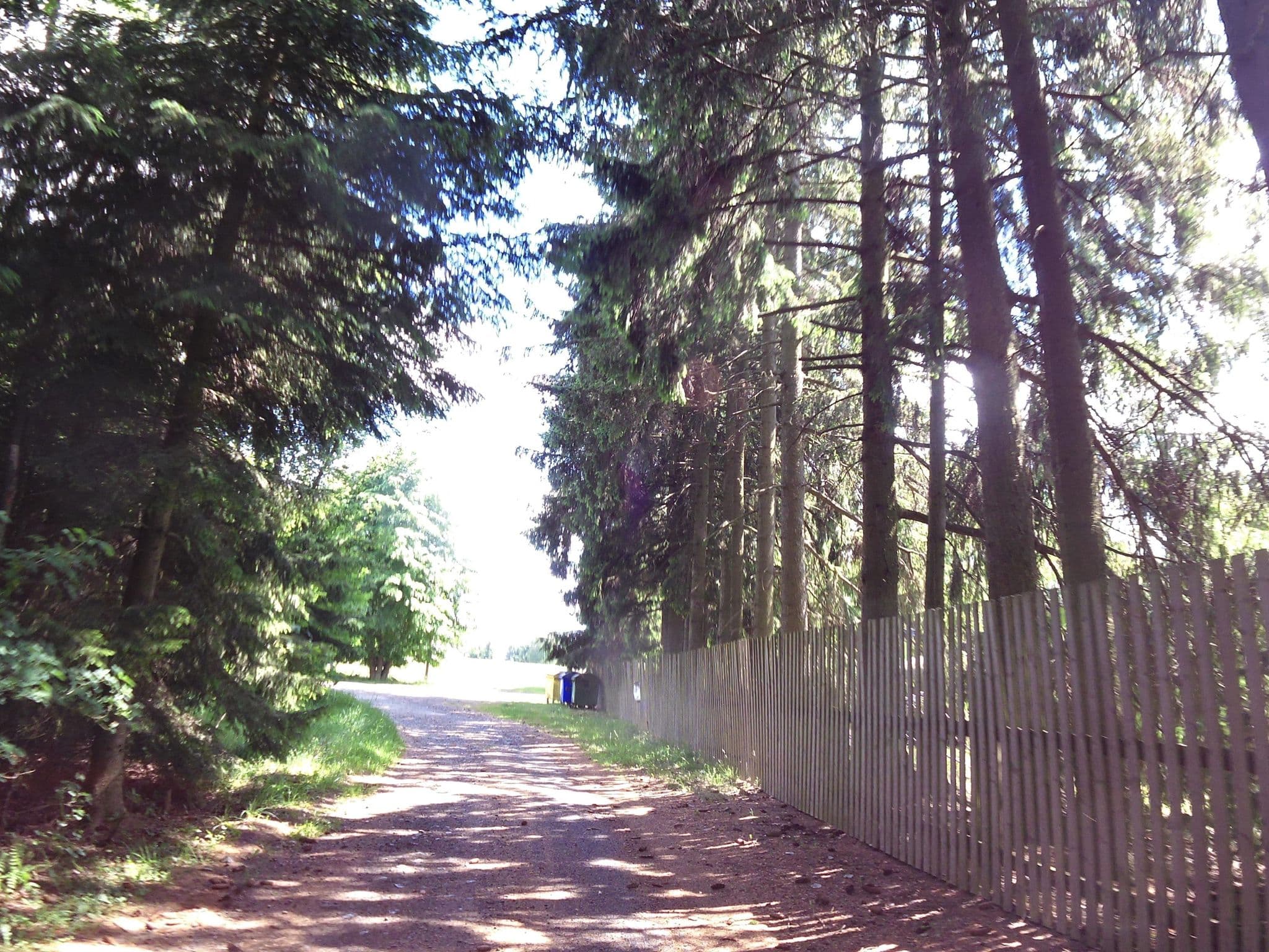 Street view near Camp Valdek, Staré Křečany — © fell3 (CC BY-SA · Mapillary)