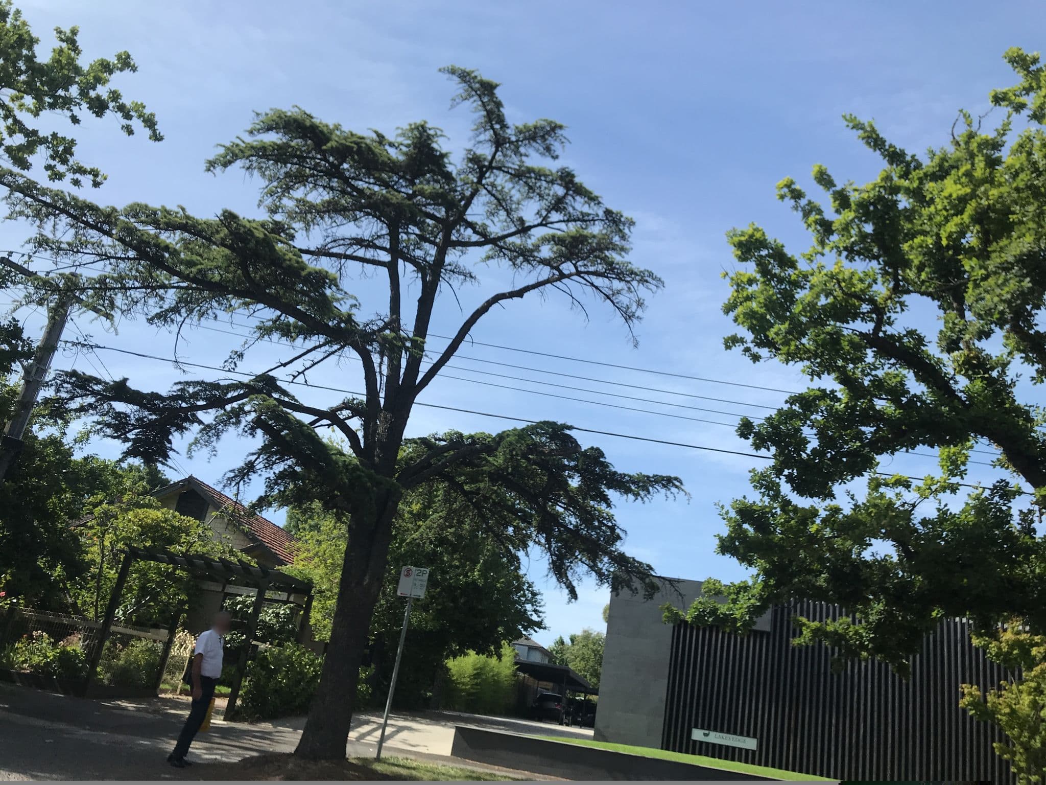Street view near Lakes Edge Apartments, Ballarat Central — © pierce (CC BY-SA · Mapillary)