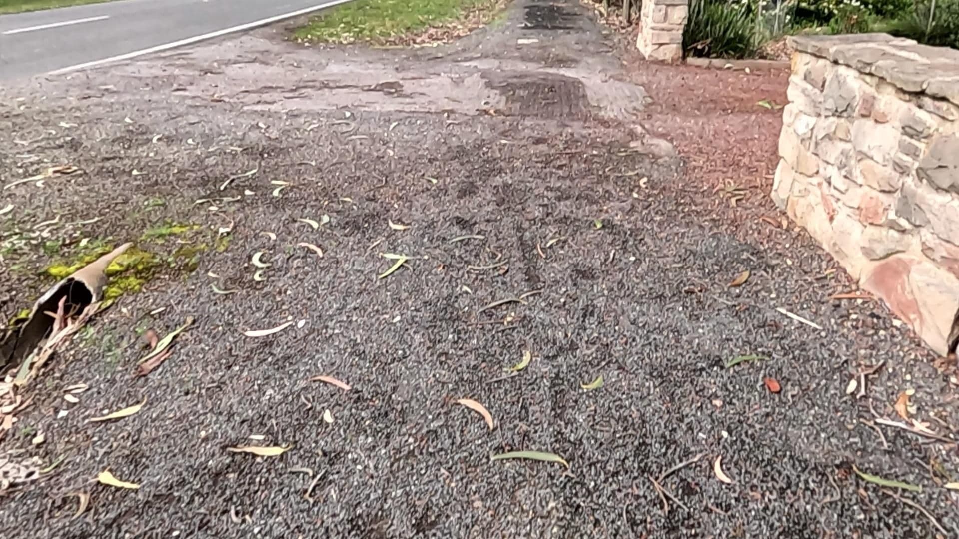 Street view near Southern Grampians Cottages Dunkeld, Hamilton — © SGSC_RACAS_FOOTPATH (CC BY-SA · Mapillary)