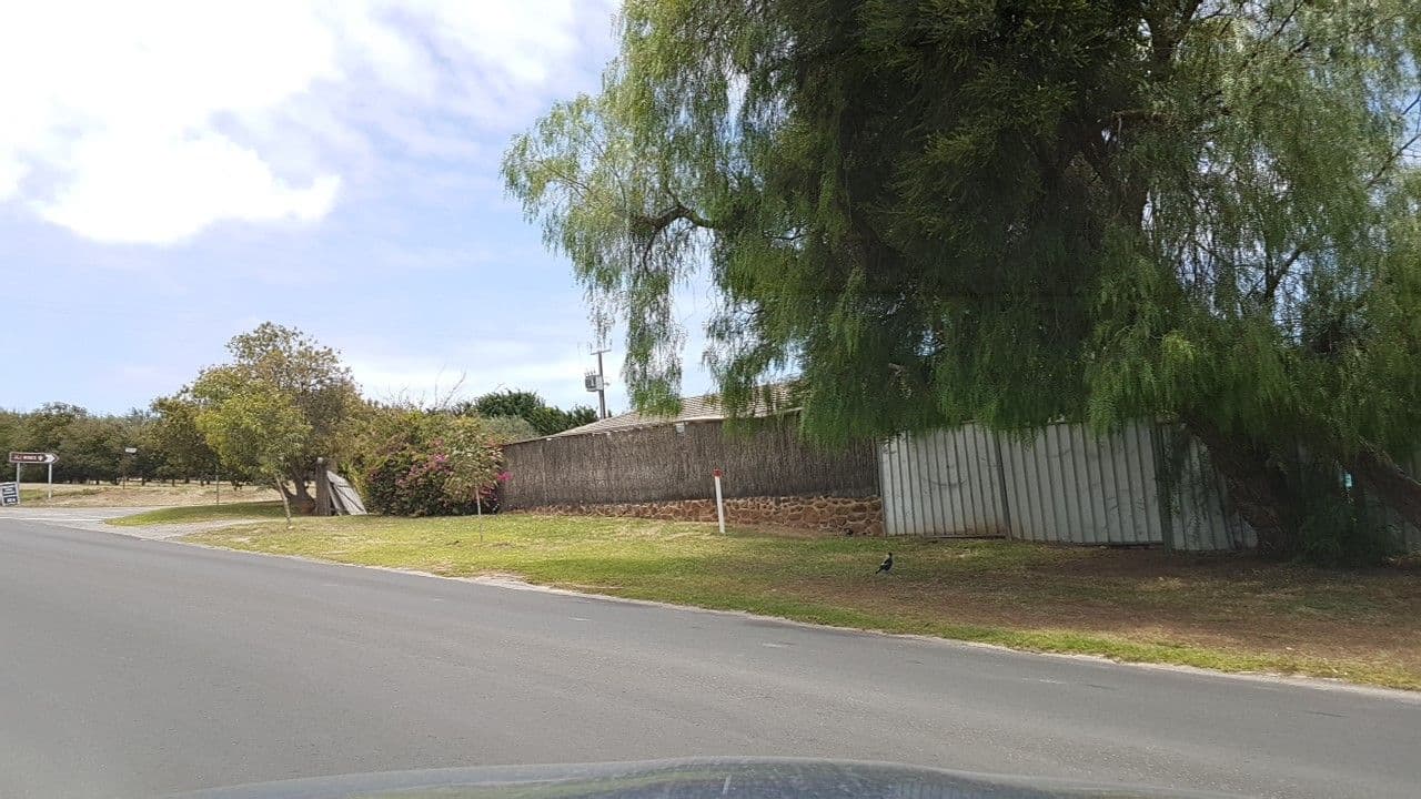 Street view near 3 Divas, McLaren Vale — © didz (CC BY-SA · Mapillary)