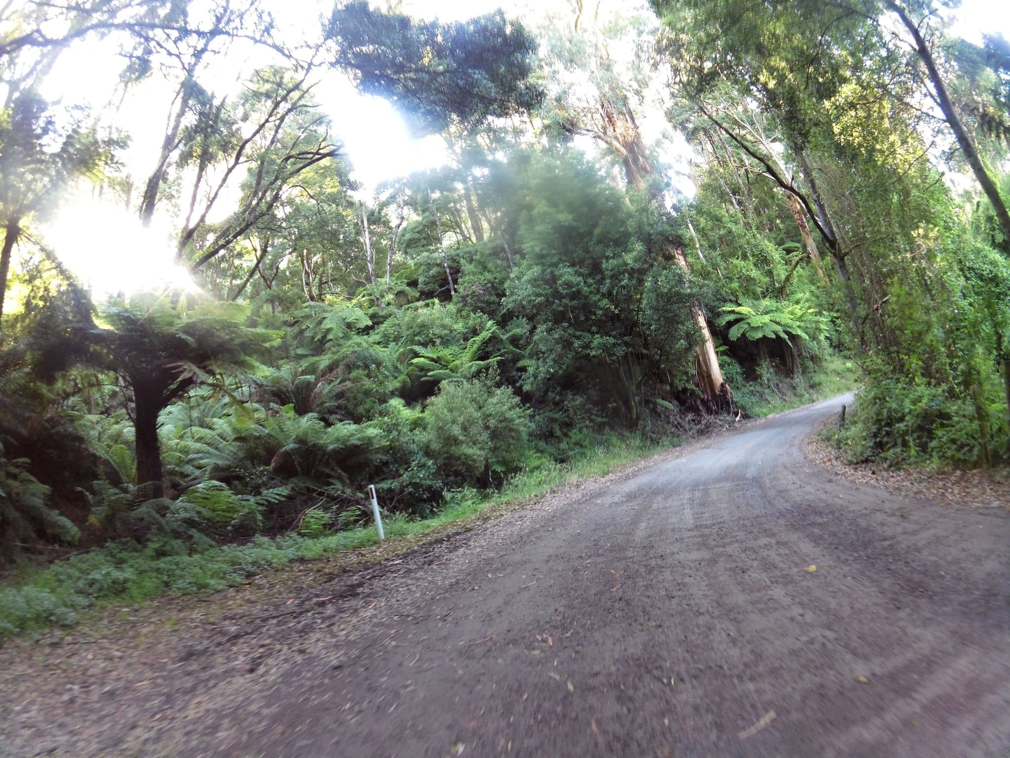 Street view near Tall Trees Retreat, Apollo Bay — © skillsy (CC BY-SA · Mapillary)