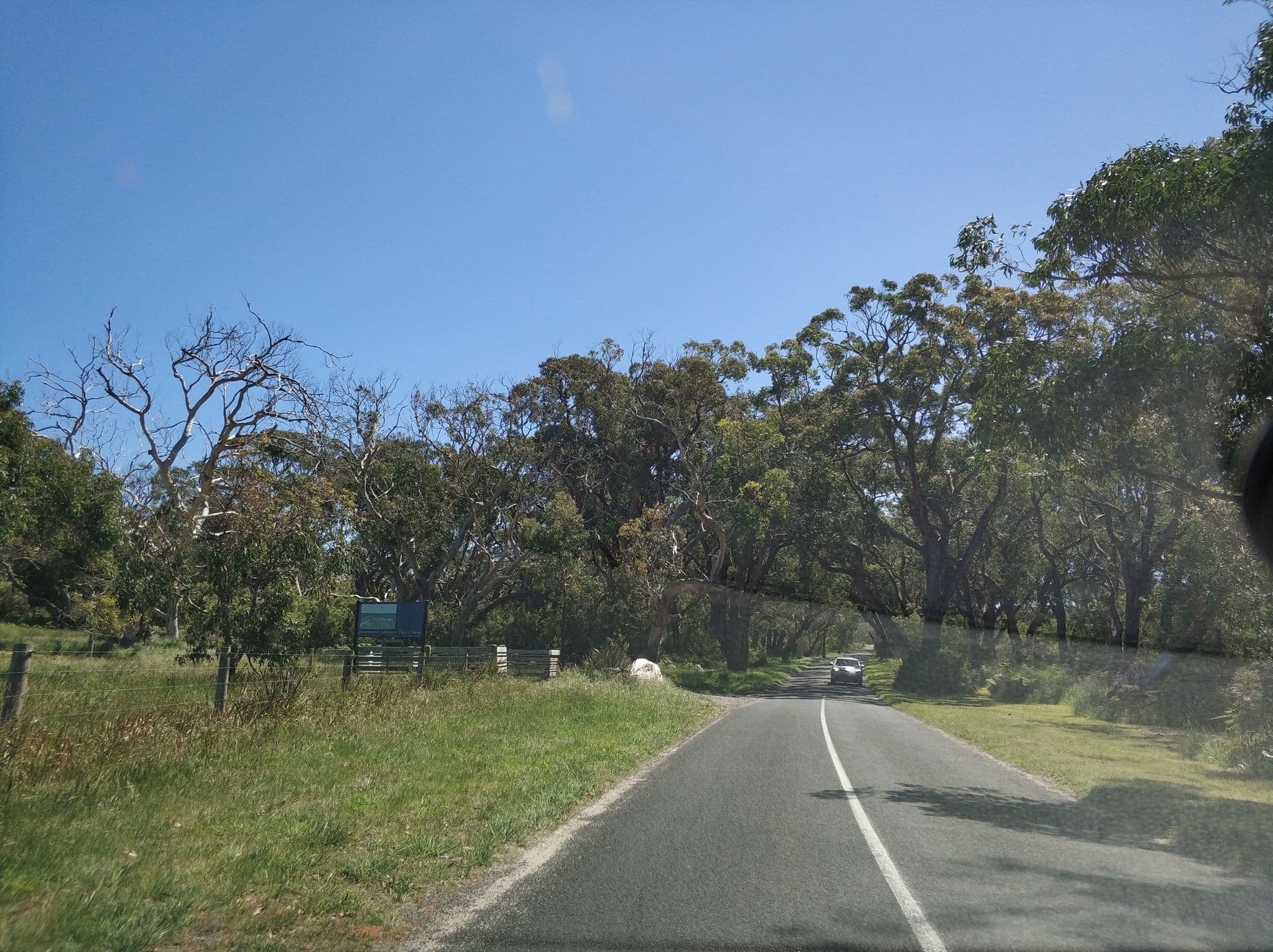 Street view near Shearwater Cottages, Apollo Bay — © radnaj (CC BY-SA · Mapillary)