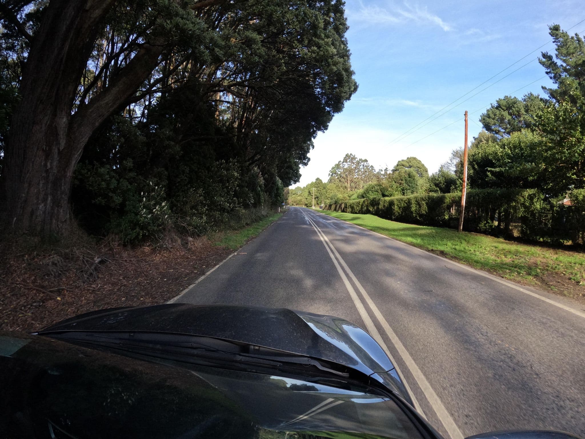 Street view near Fauna Australia, Apollo Bay — © skillsy (CC BY-SA · Mapillary)