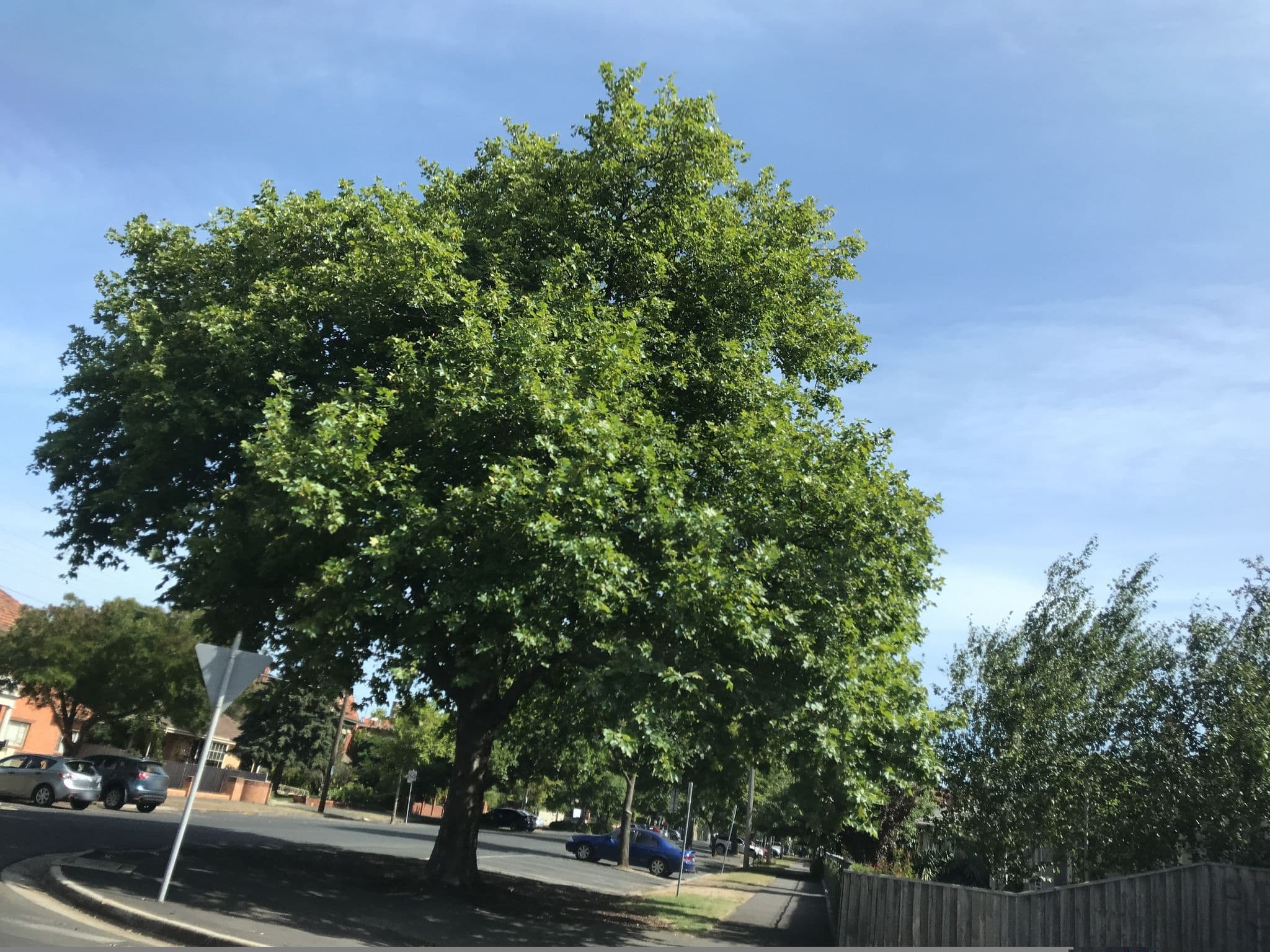 Street view near Al Hayatt, Ballarat Central — © pierce (CC BY-SA · Mapillary)