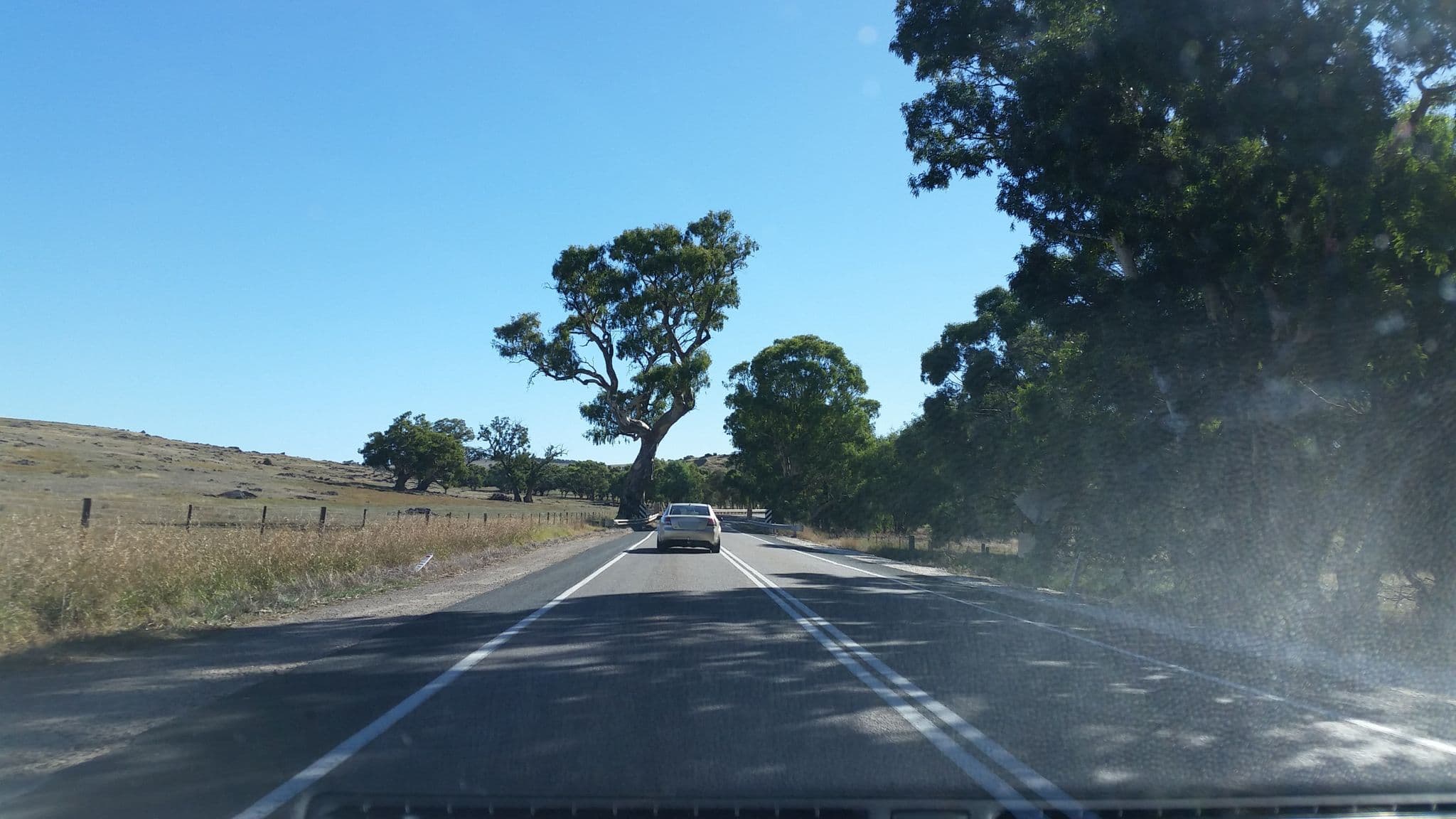 Street view near SunnyBrook B&B, Lobethal — © didz (CC BY-SA · Mapillary)