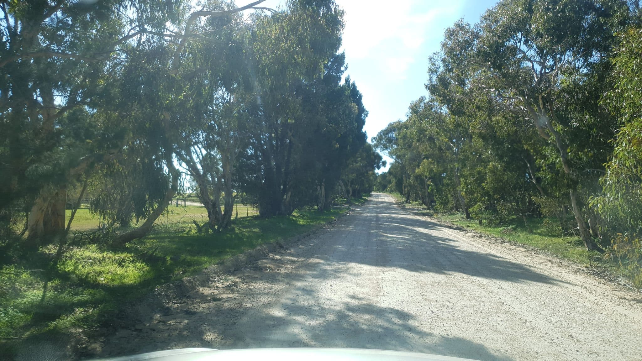 Street view near Enerby Farm Cottage, Lyndoch — © josh_g_map (CC BY-SA · Mapillary)