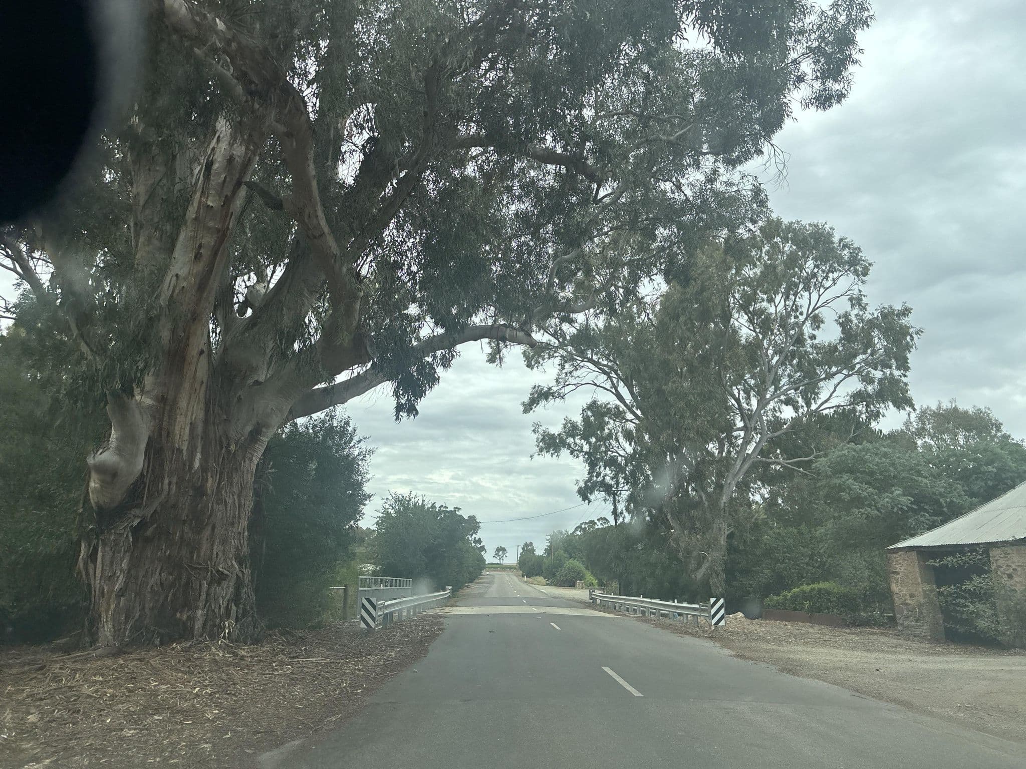 Street view near Heritage Hideaway, Clare — © niety001 (CC BY-SA · Mapillary)