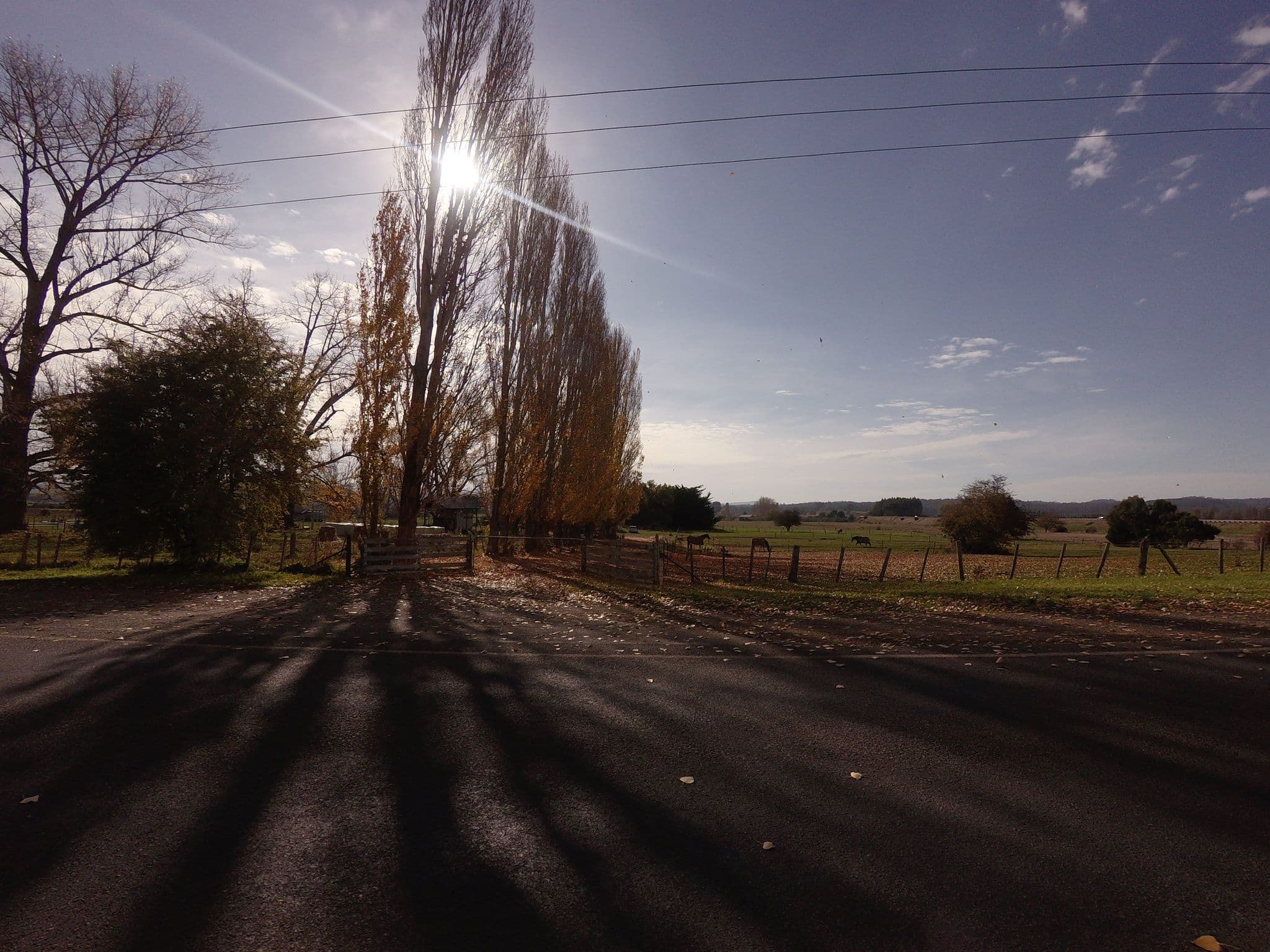 Street view near Bowerbank Mill B&B, Deloraine — © tastrax (CC BY-SA · Mapillary)