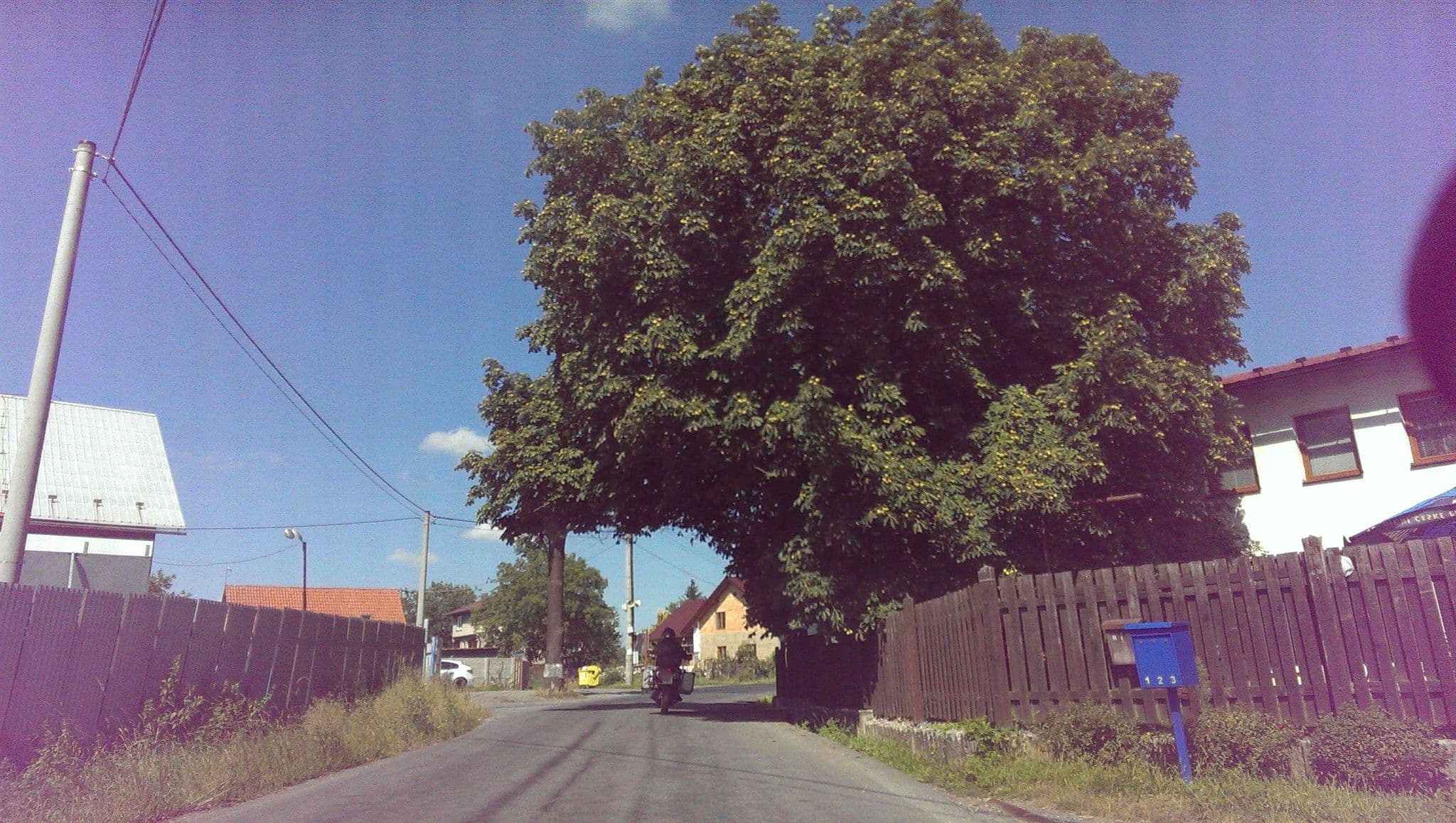 Street view near U Čechů, Příbor — © roraima (CC BY-SA · Mapillary)