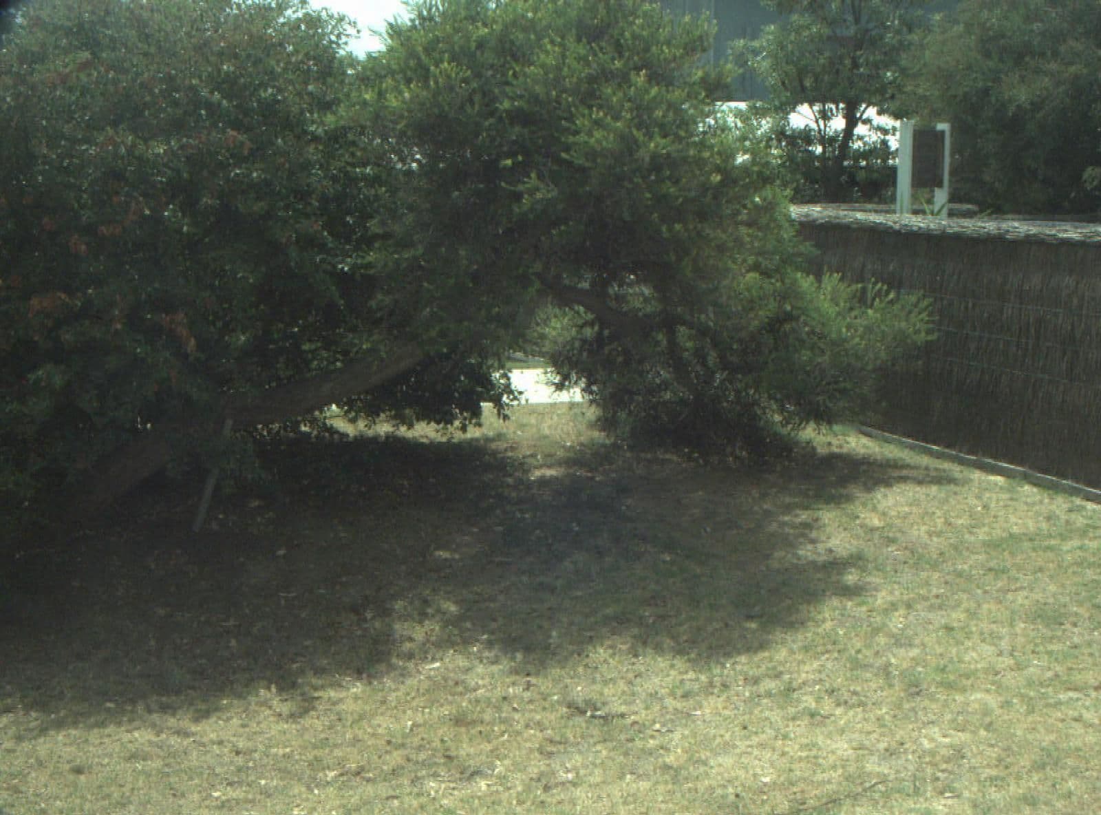 Street view near King Tide Townhouse, Ocean Grove — © cogg (CC BY-SA · Mapillary)