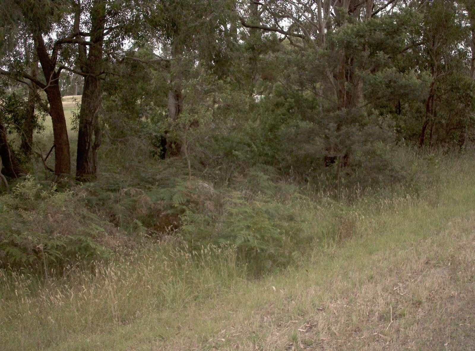 Street view near Beach Grove Hotel, Yarram — © vicroads (CC BY-SA · Mapillary)