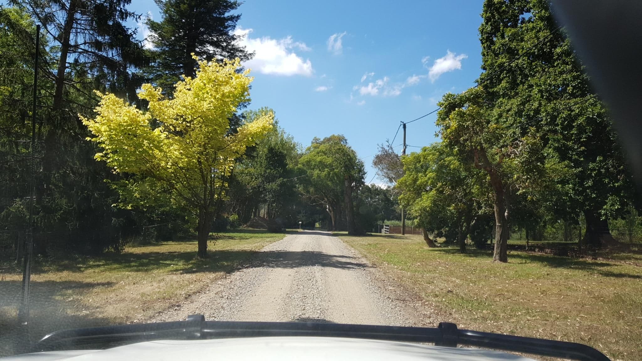 Street view near Polperro Farmhouse, Safety Beach — © roadroid (CC BY-SA · Mapillary)