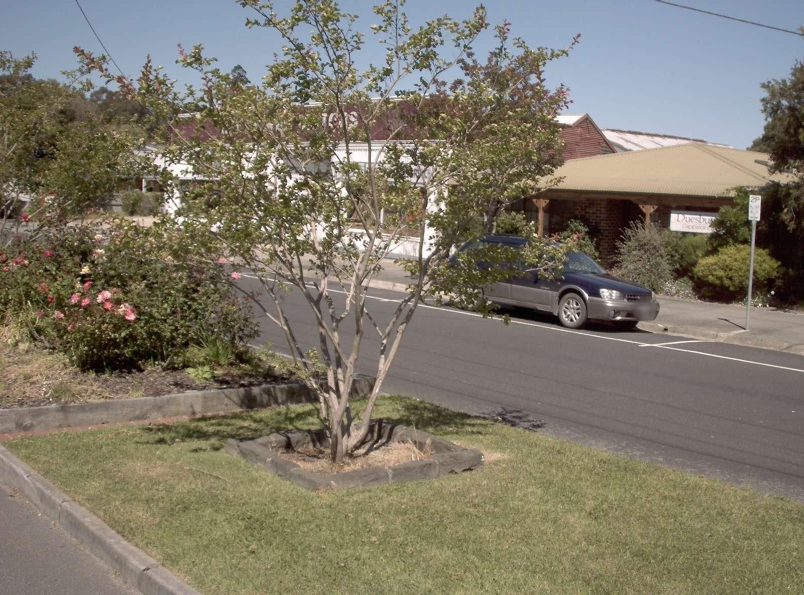Street view near Mirror News, Foster — © vicroads (CC BY-SA · Mapillary)